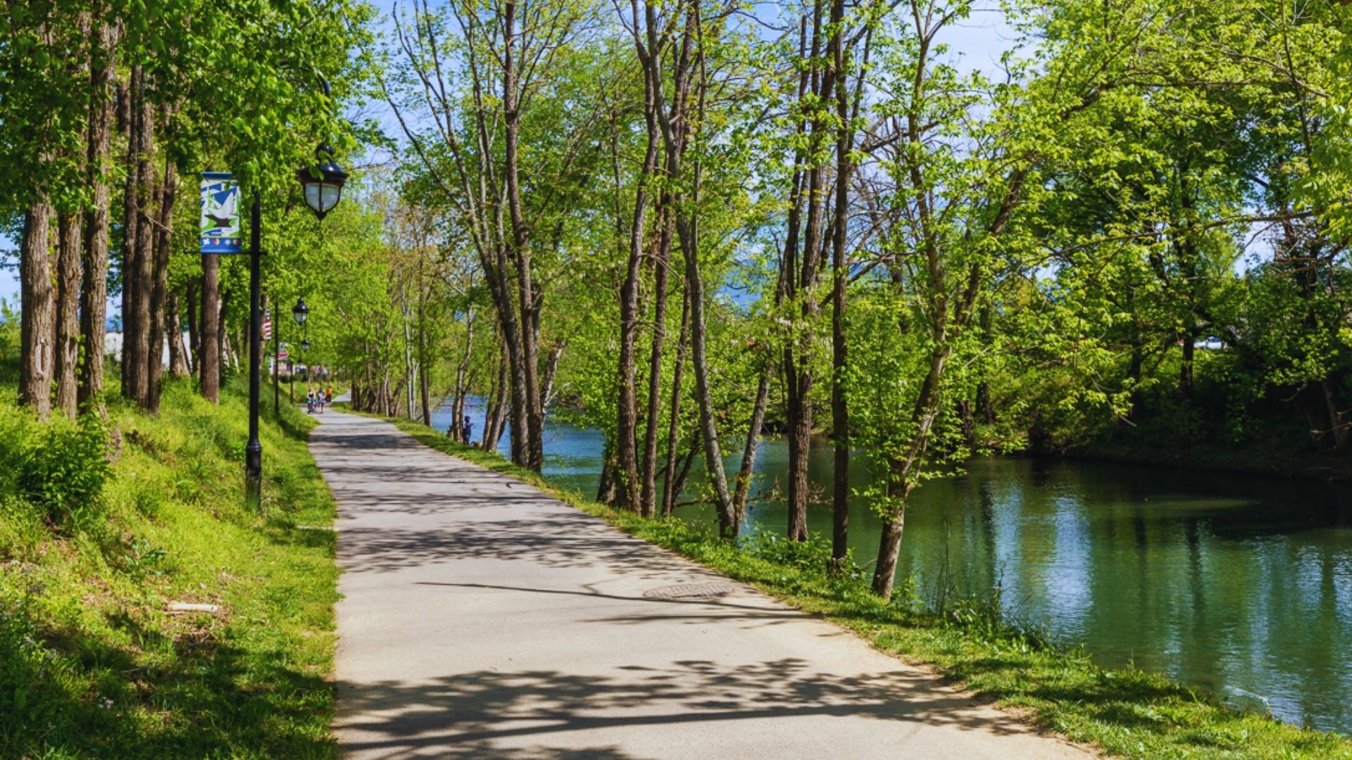 A serene riverside path bordered by lush green trees under a clear blue sky. The river reflects the vibrant foliage, creating a peaceful, refreshing scene.