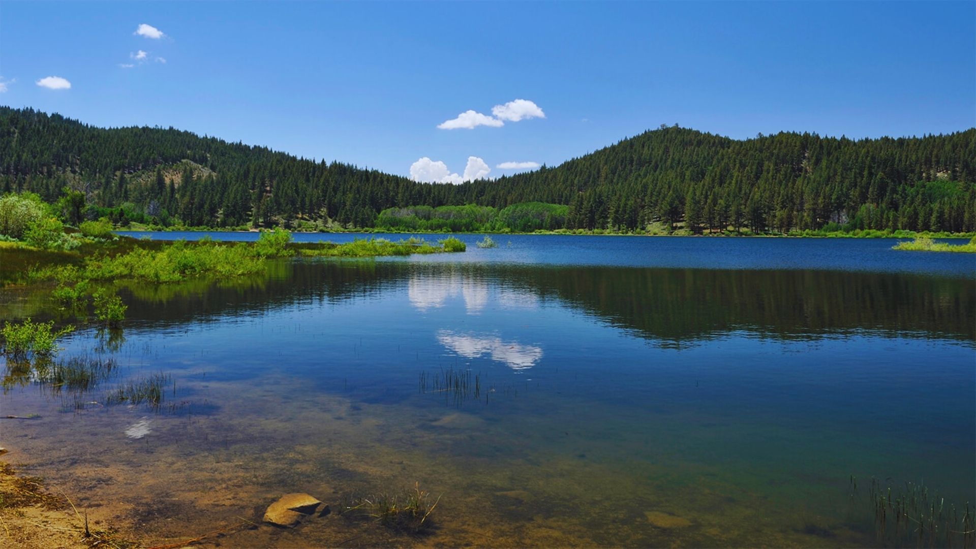 A serene lake bordered by lush trees and majestic mountains under a clear blue sky.
