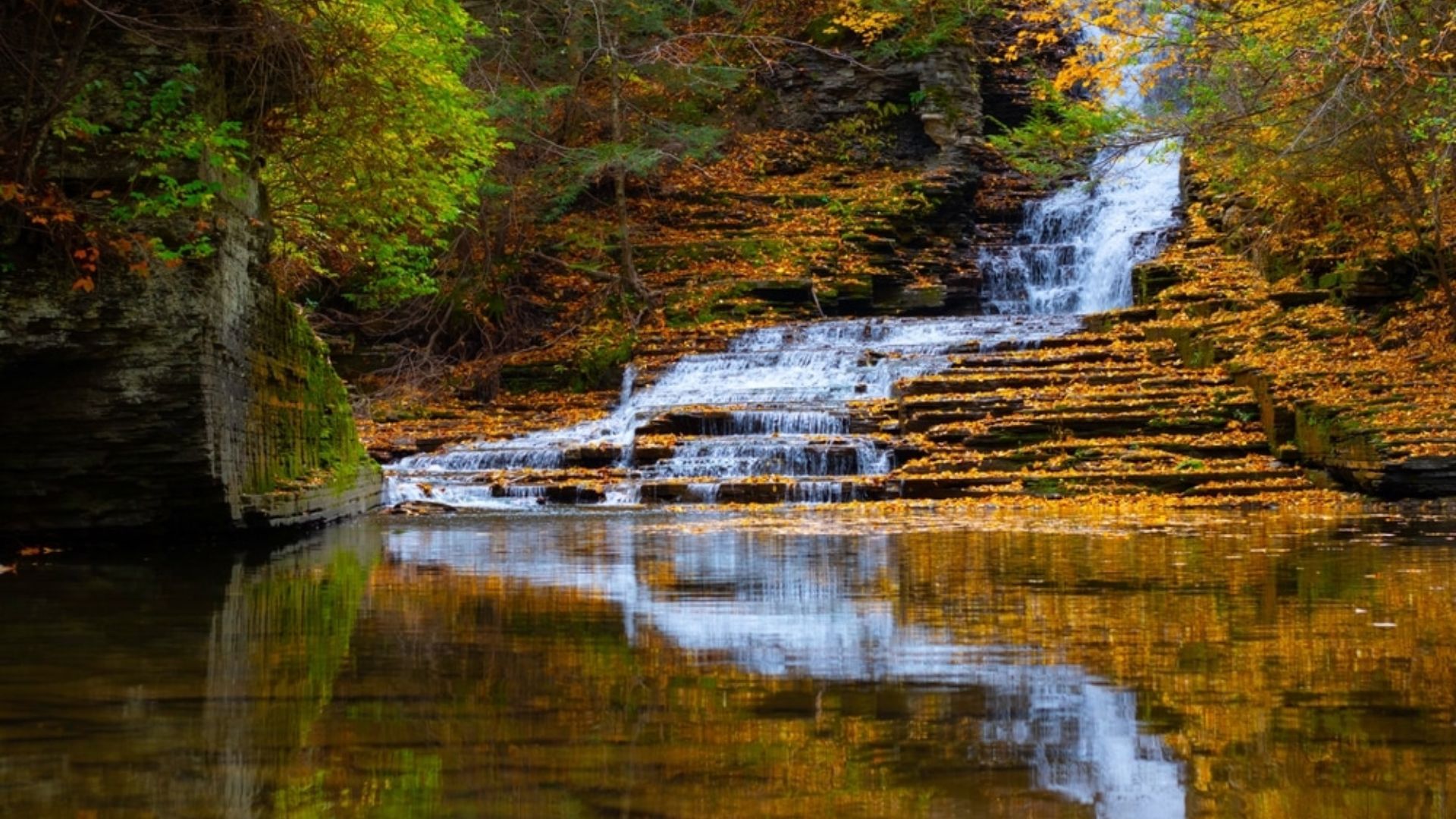 A serene waterfall cascades through the woods, surrounded by vibrant autumn leaves on the forest floor.