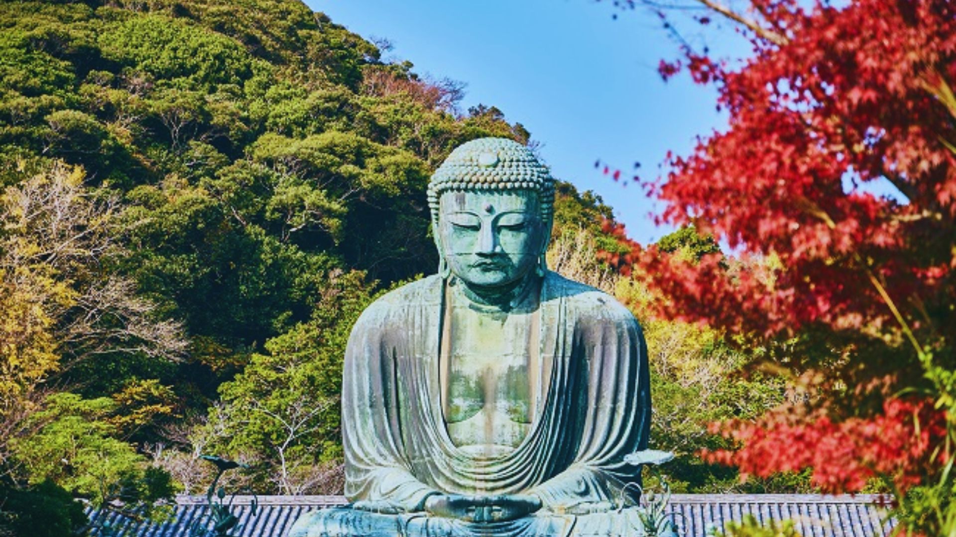 A large Buddha statue stands in front of a vibrant red tree, creating a serene and colorful scene.