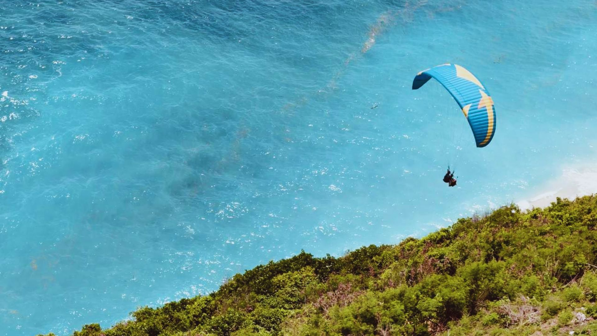 Paraglider with a blue and yellow canopy soars over turquoise ocean and lush green cliff, conveying a sense of freedom and adventure.
