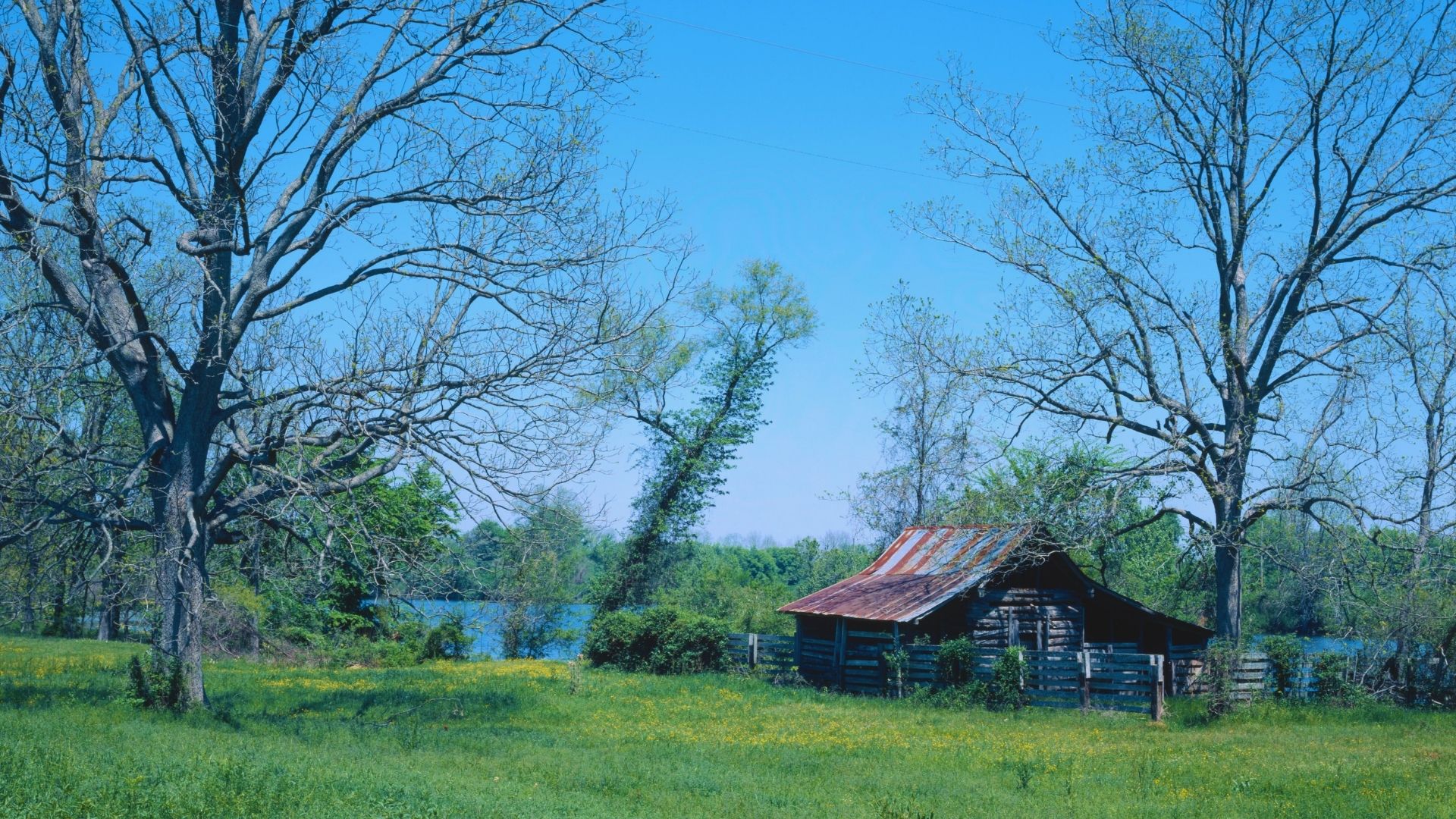 A small cabin surrounded by a vast green field under a clear blue sky.