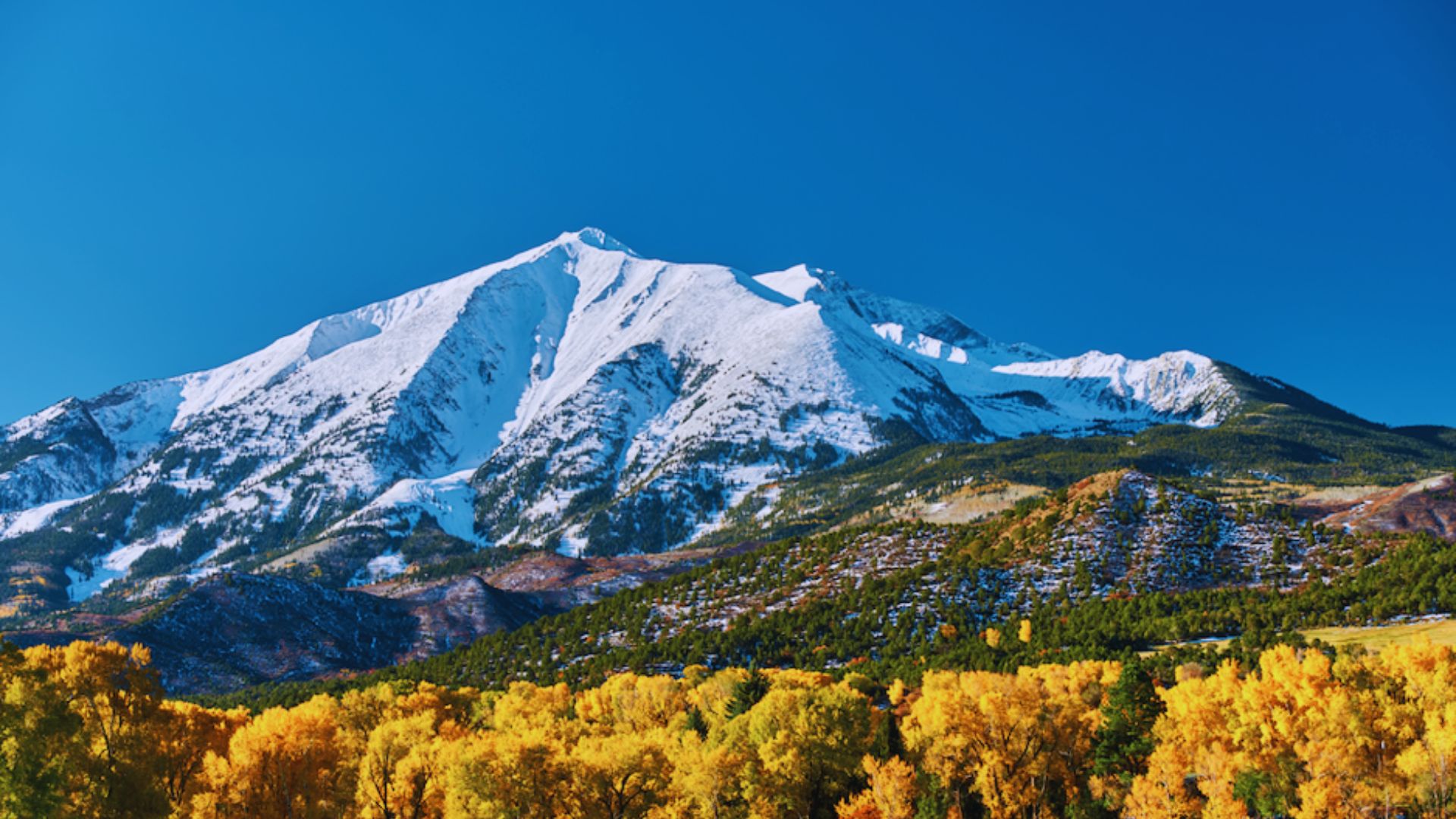 Scenic view of Colorado mountains in autumn, featuring colorful trees with bright fall leaves under a blue sky.