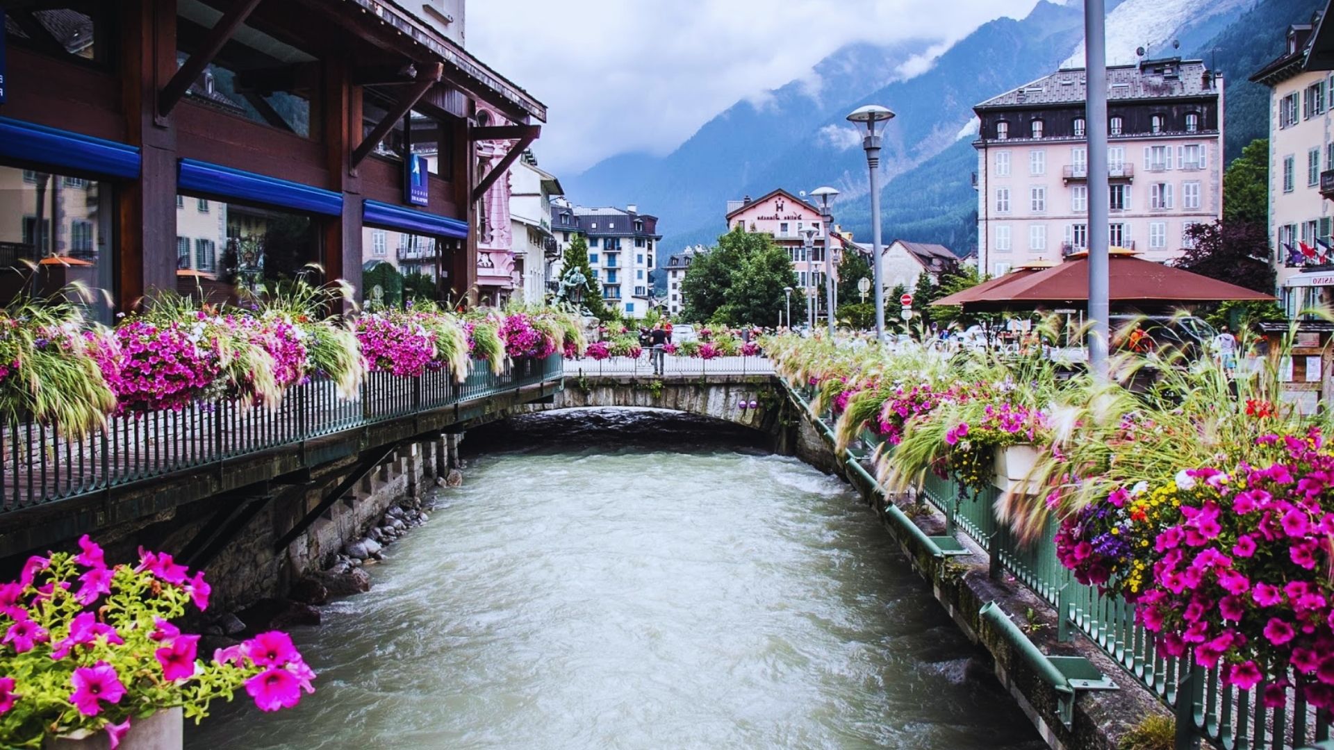 A serene river lined with flowers, with buildings visible in the background under a clear sky.