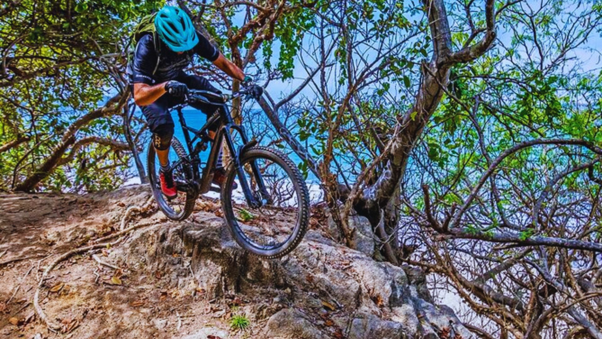 Mountain biker with a teal helmet navigates a steep, rocky trail surrounded by dense trees and bright blue sky, conveying adventure and determination.