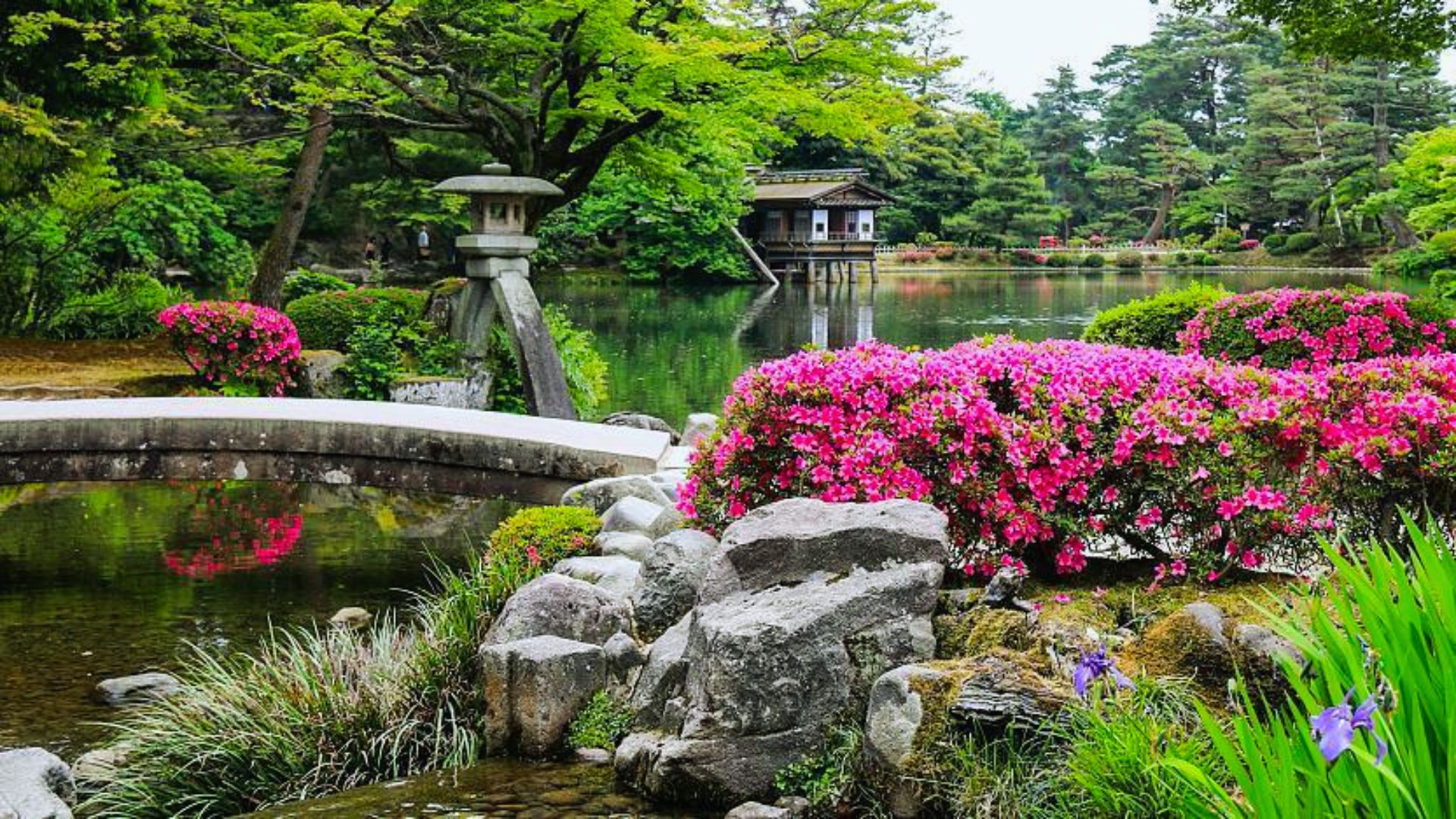 A vibrant garden featuring a serene pond surrounded by colorful flowers in full bloom.