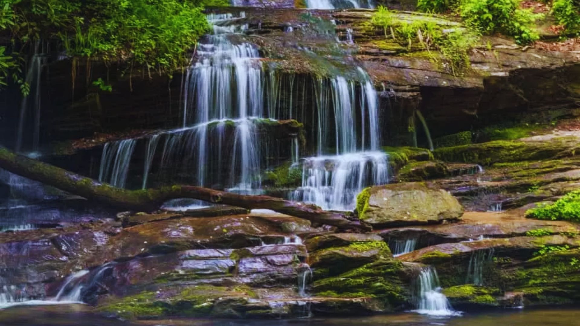 A serene waterfall cascades over moss-covered rocks in a lush forest. Sunlight filters through the trees, creating a tranquil and refreshing atmosphere.