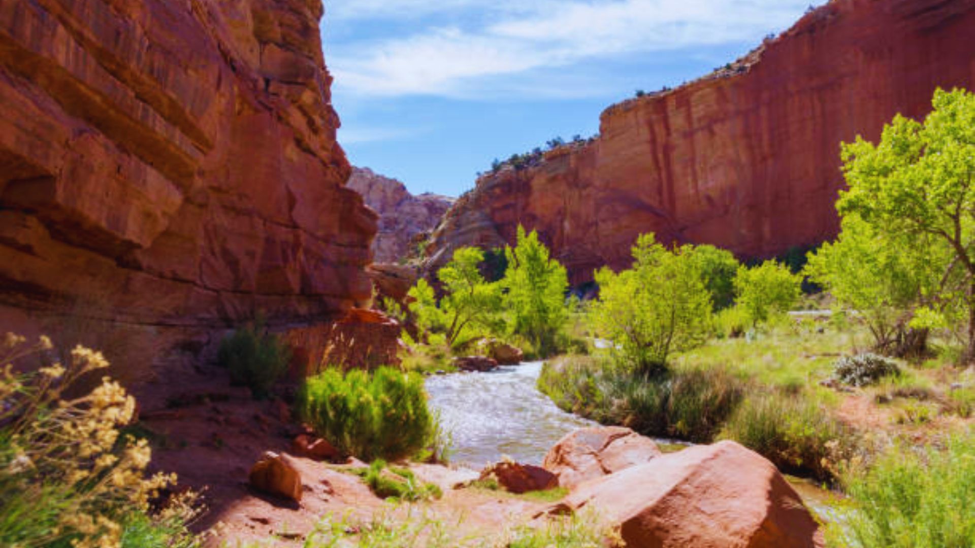 A winding river flows through a vast desert canyon, showcasing the contrast between water and arid landscape.