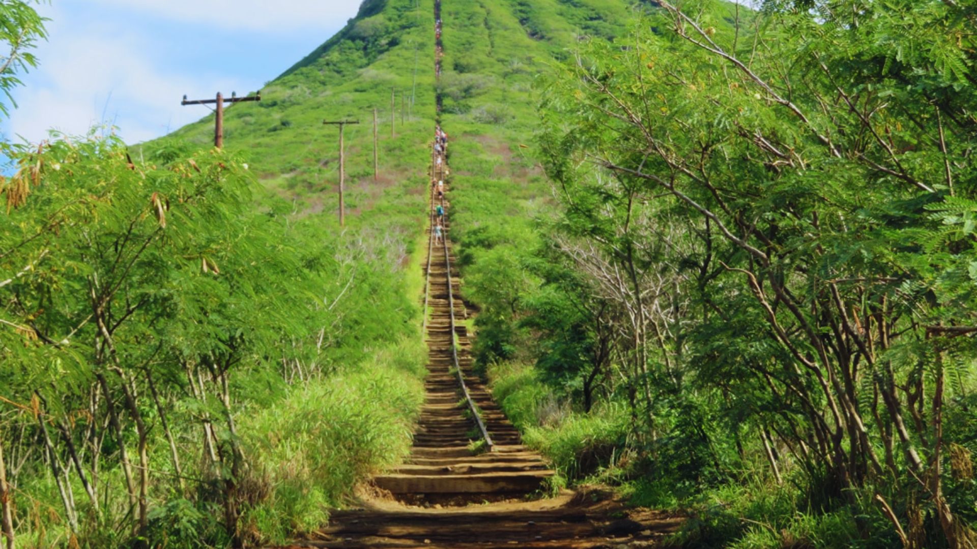 A long staircase ascends towards a mountain, surrounded by greenery and rocky terrain.