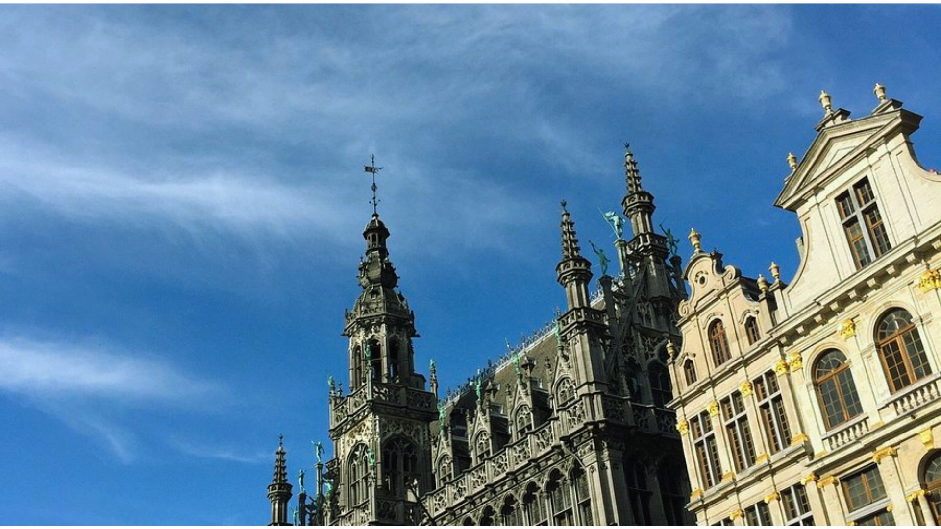 The Grand Place in Brussels, showcasing ornate architecture and vibrant flowers in a bustling public square.