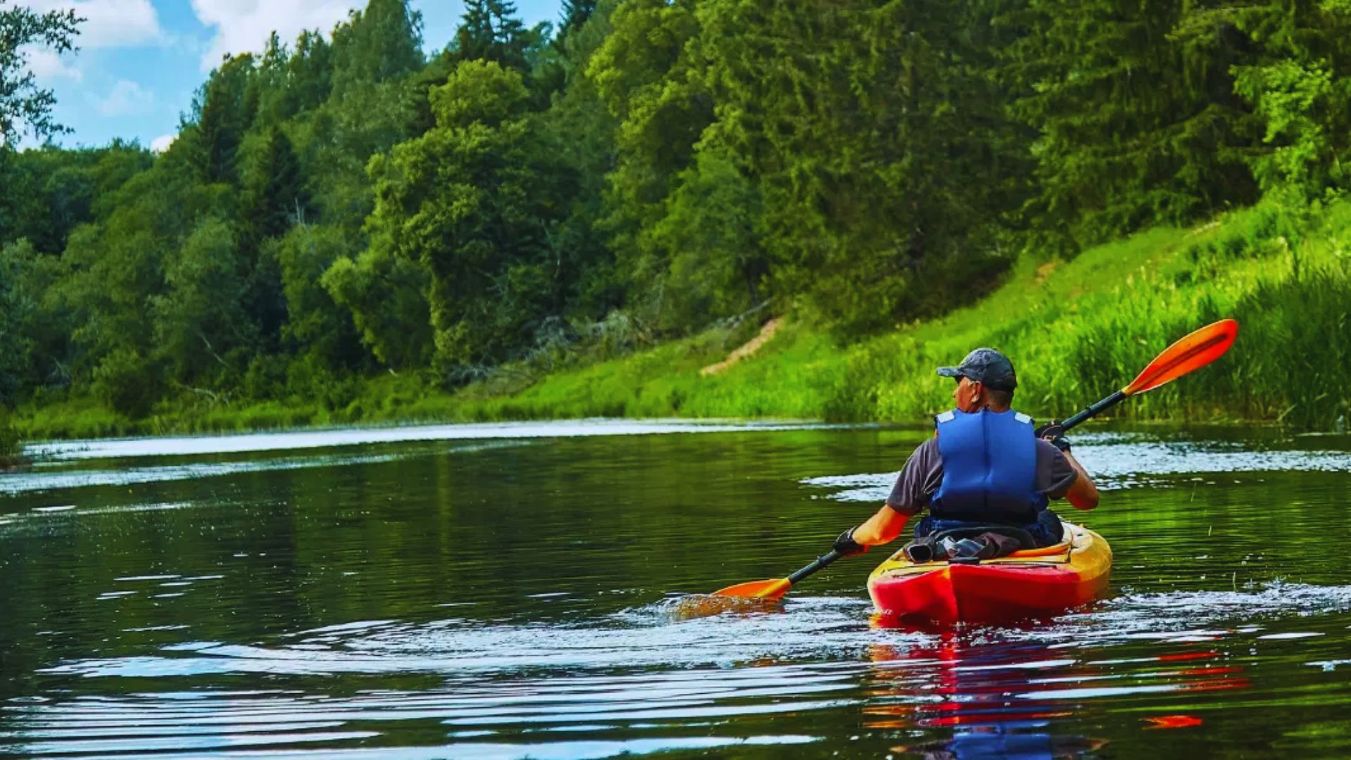 Go Kayaking in Mangroves