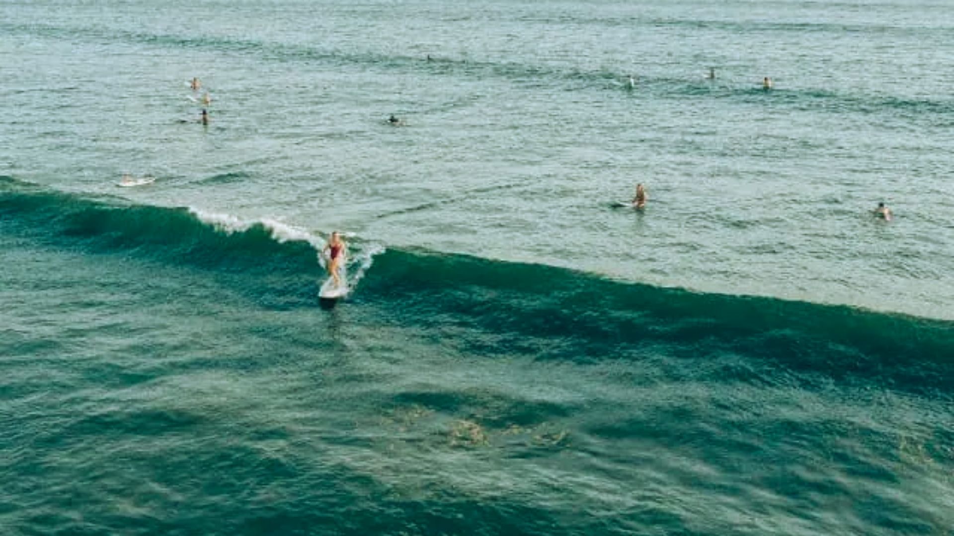 A group of surfers on colorful surfboards riding waves in the ocean under a clear blue sky.