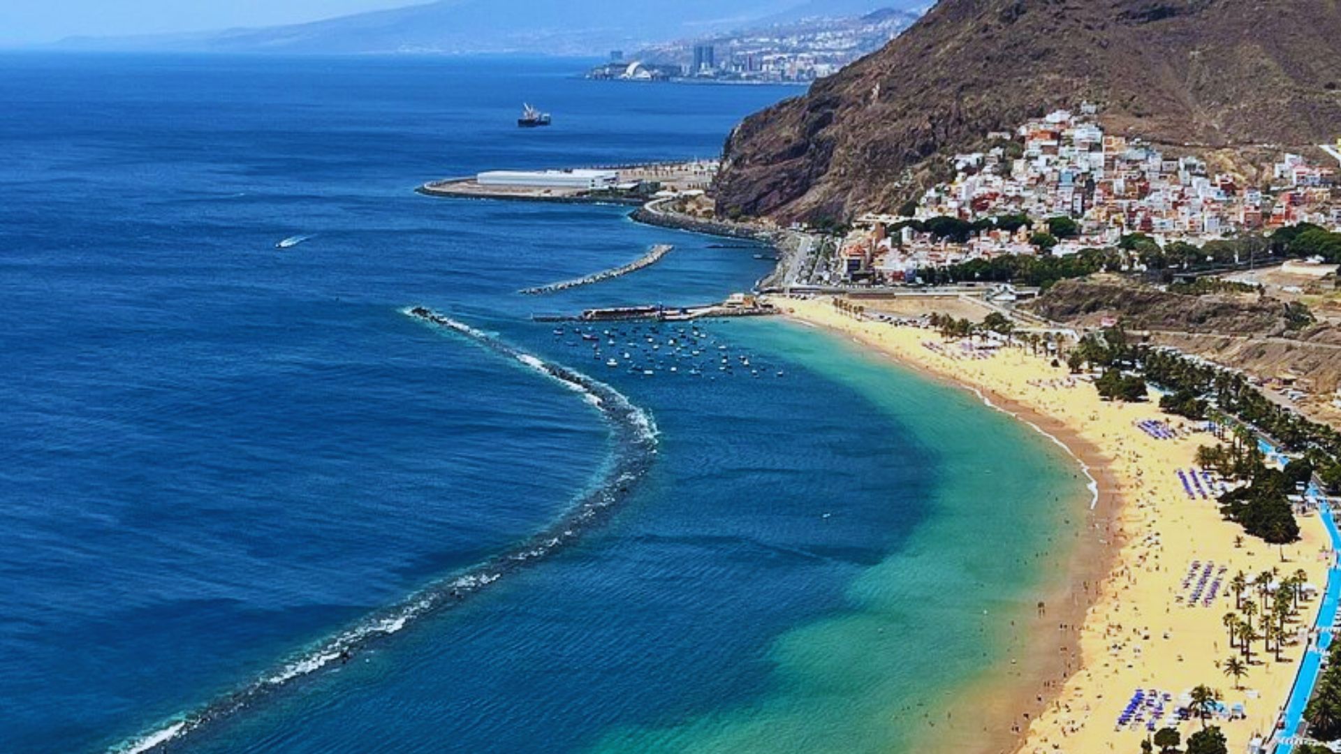 A serene beach scene featuring a clear blue sky and gentle waves lapping at the shore.