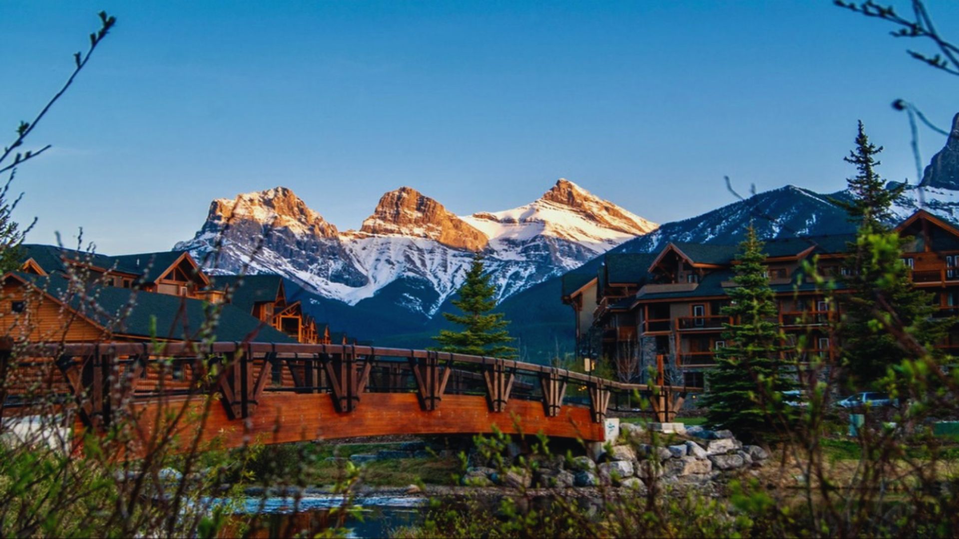 A scenic view featuring mountains in the background, creating a stunning natural landscape.