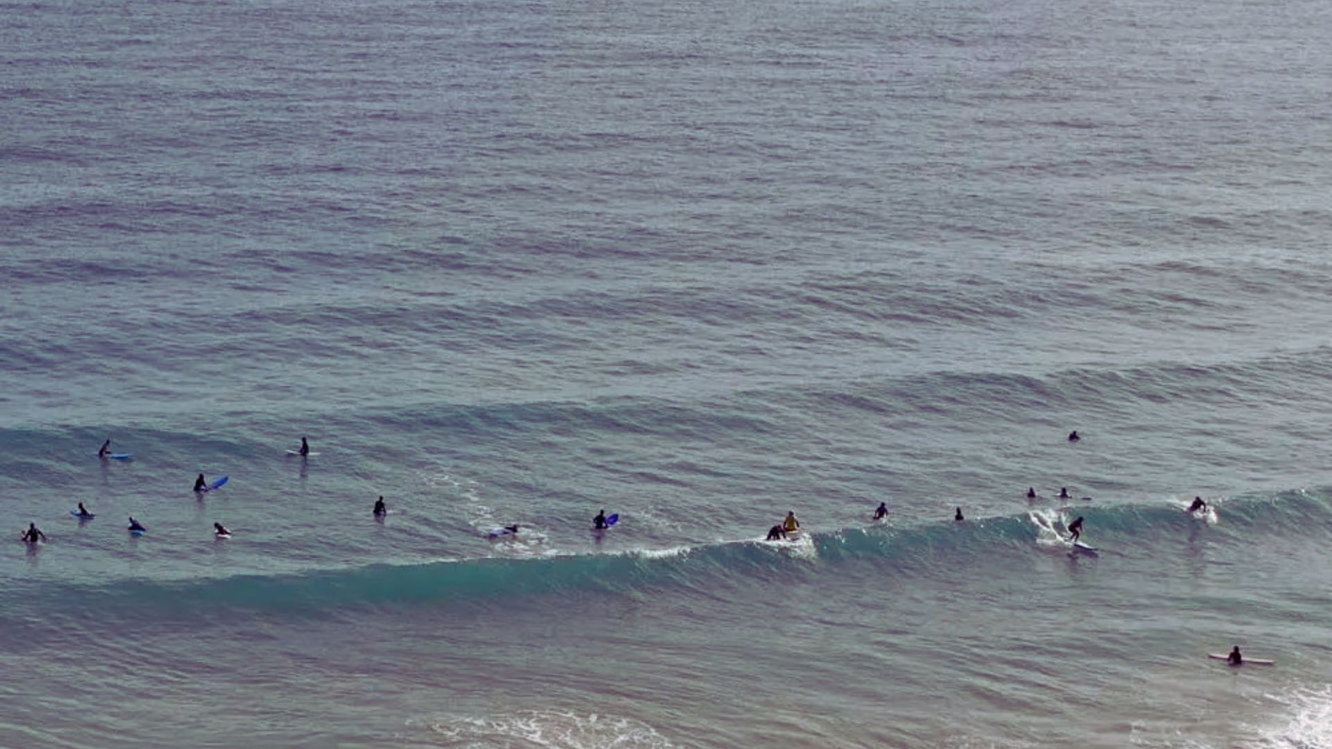 A group of surfers riding waves in the ocean on a sunny day, showcasing their skills and enjoying the water.