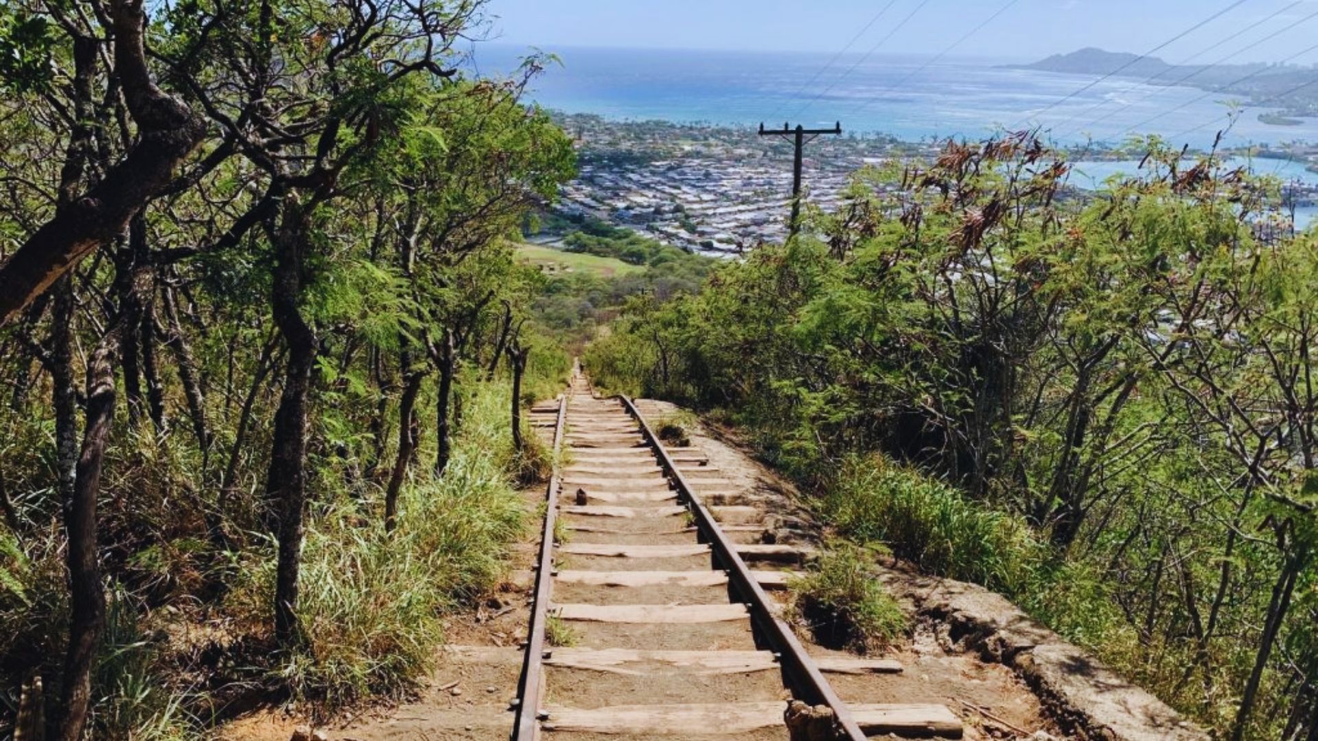 Steep wooden stairs, flanked by lush trees, lead down a hill with a scenic view of a coastal town and ocean in the distance under a bright sky.