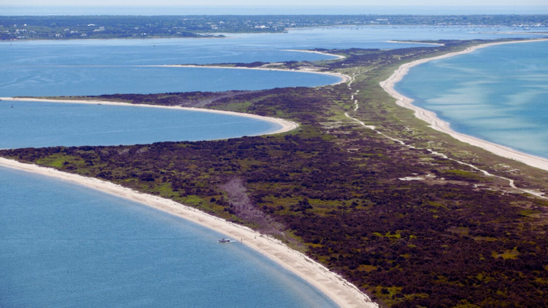 Aerial view of a sandy beach meeting the blue ocean, showcasing waves and shoreline under a clear sky.