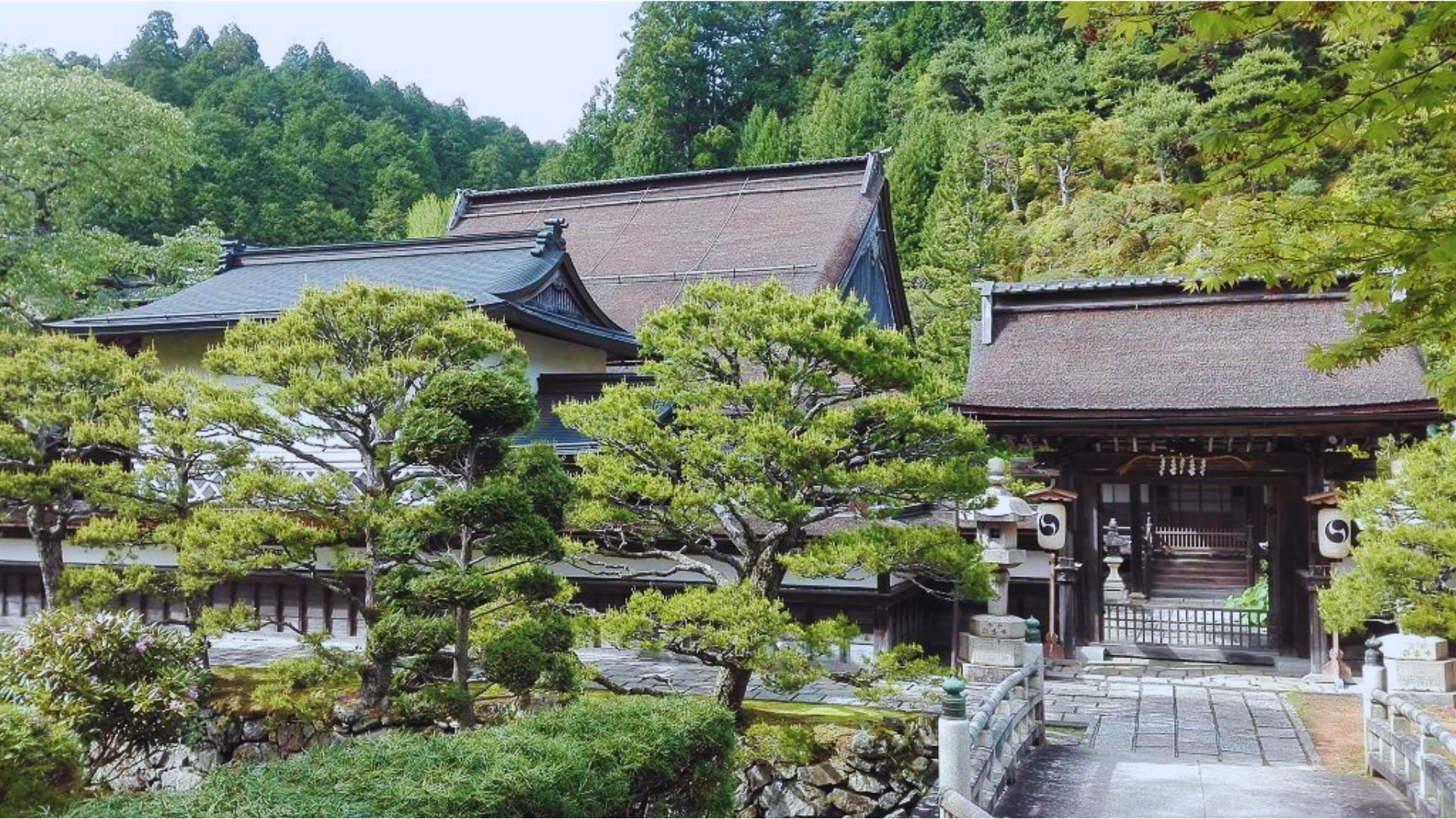 Koya-san