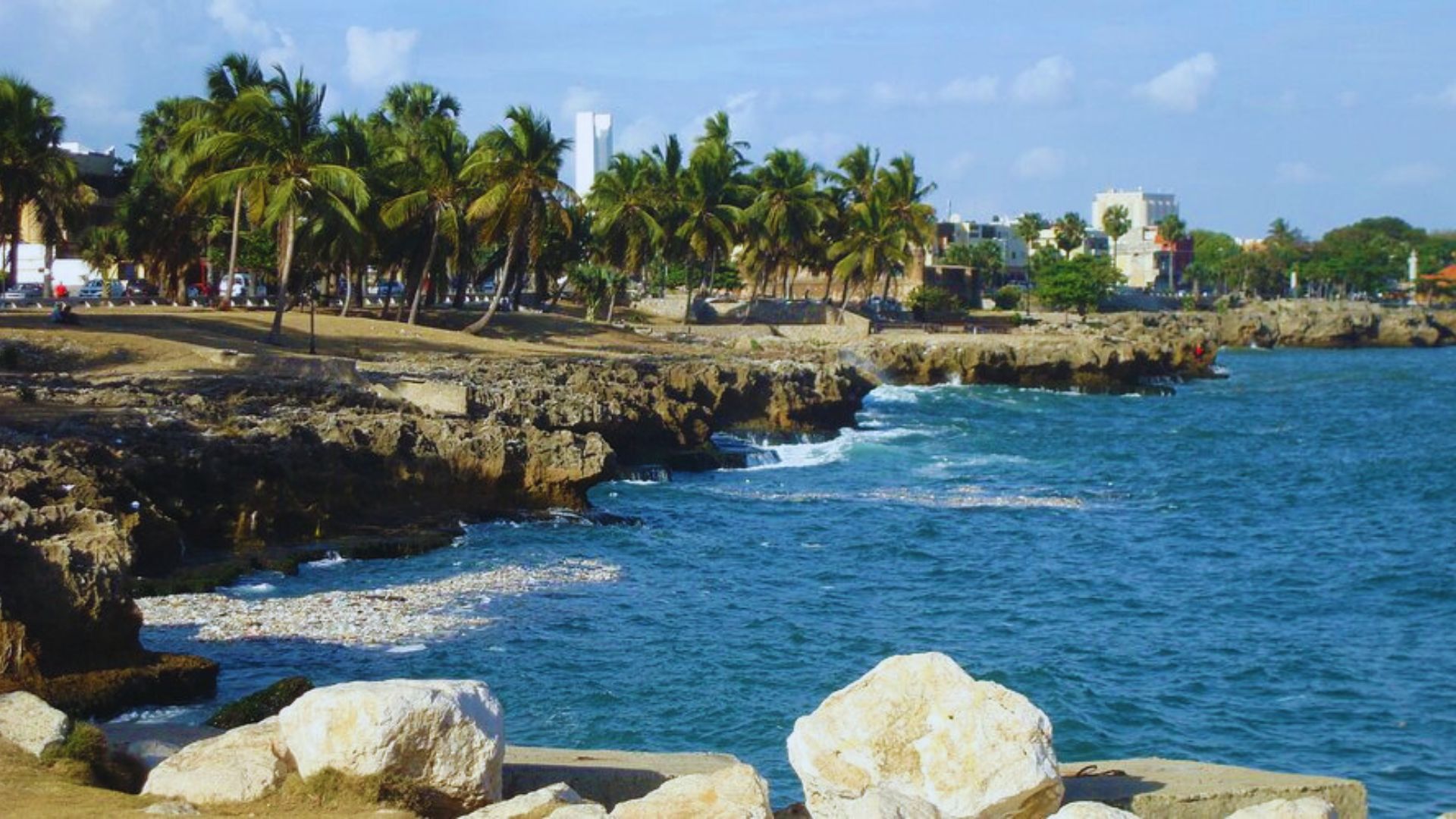 A picturesque beach with palm trees and rocky outcrops along the shoreline, set against a bright sky.