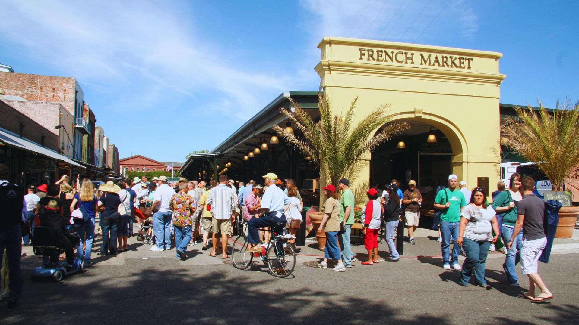 A group of people walking in a line, dressed casually, moving together along a path in a sunny outdoor setting.