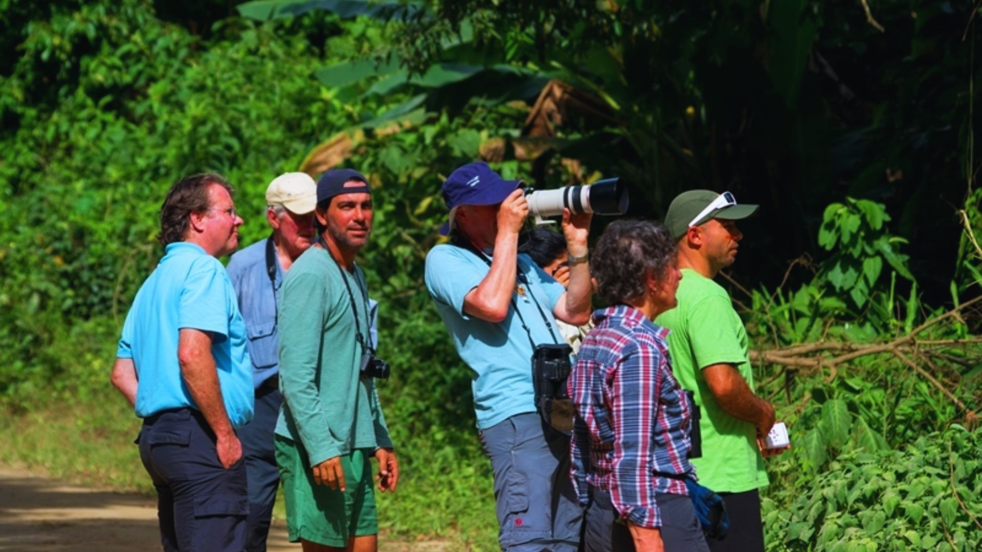 Go Birdwatching in the Atlantic