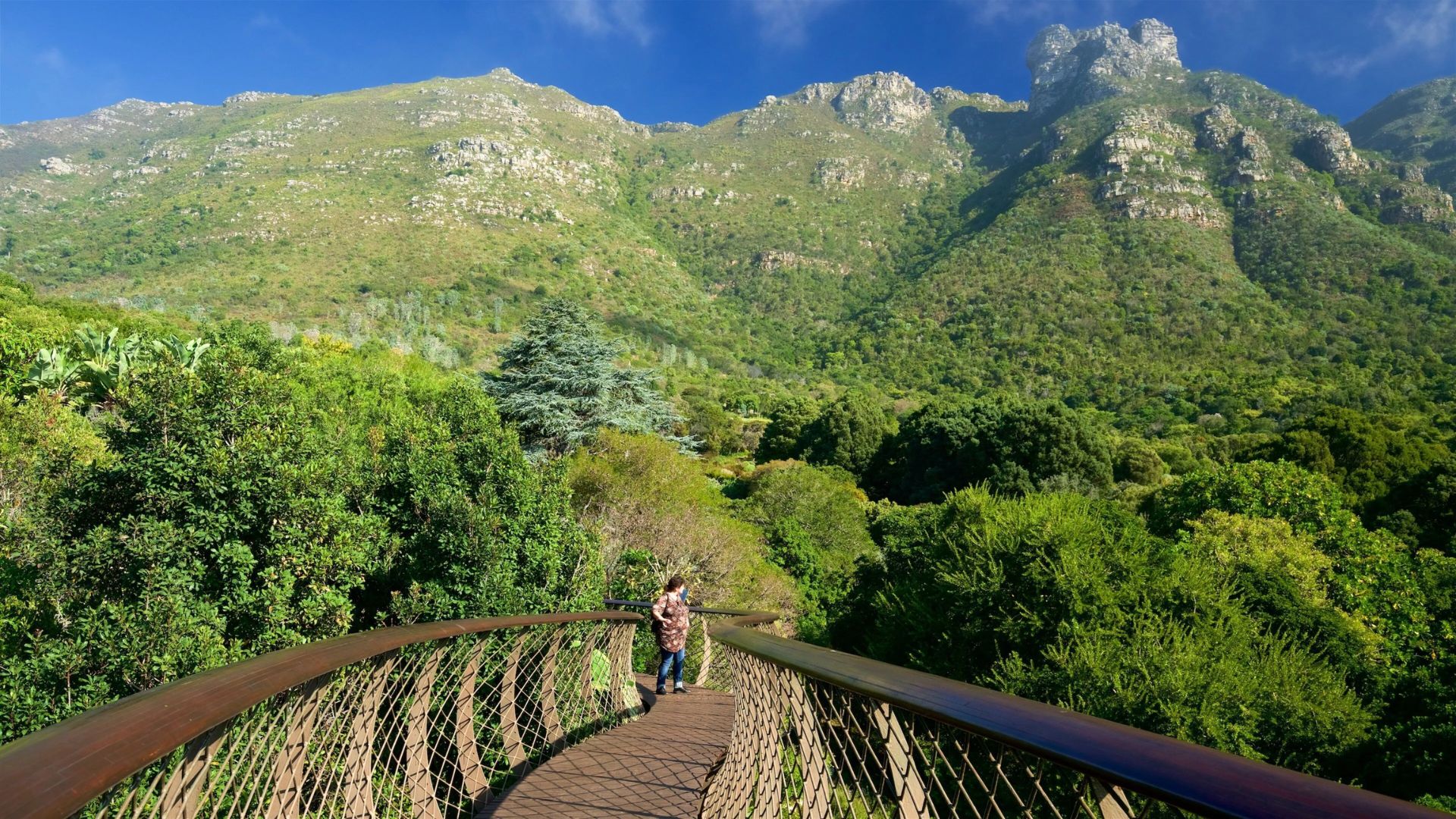 A person walks across a suspension bridge, surrounded by a lush green valley below.