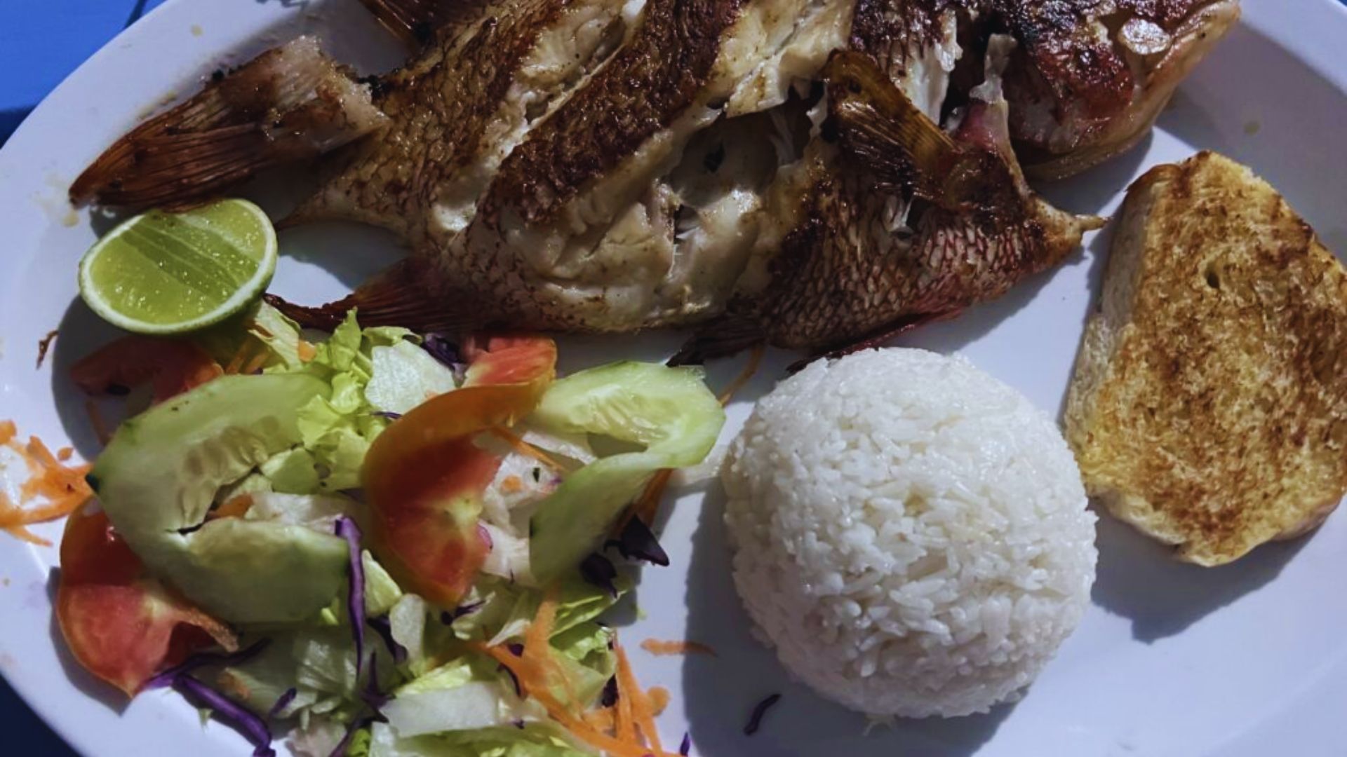 A plate of rice, fish, and salad sits on a blue table, showcasing a colorful and appetizing meal.