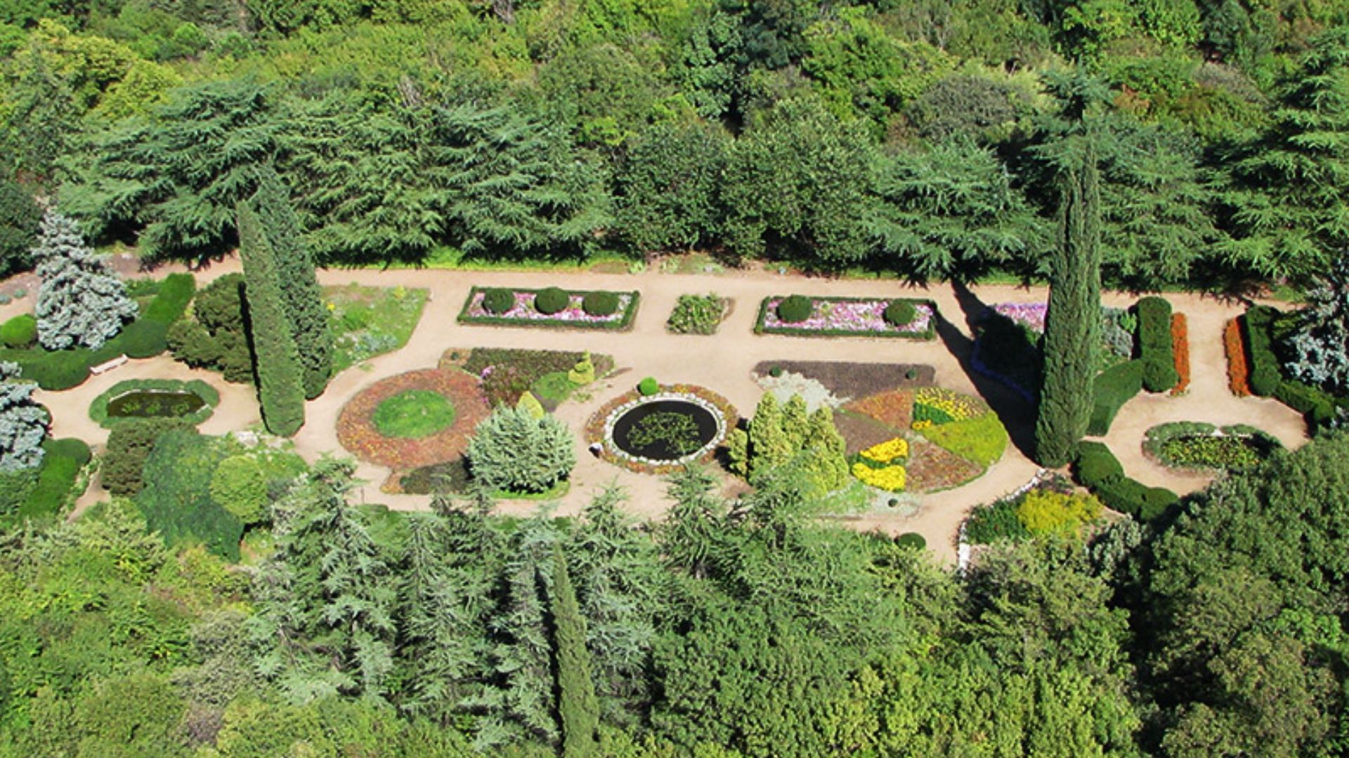 Aerial view of a lush garden featuring various trees and bushes, showcasing vibrant greenery and natural patterns.