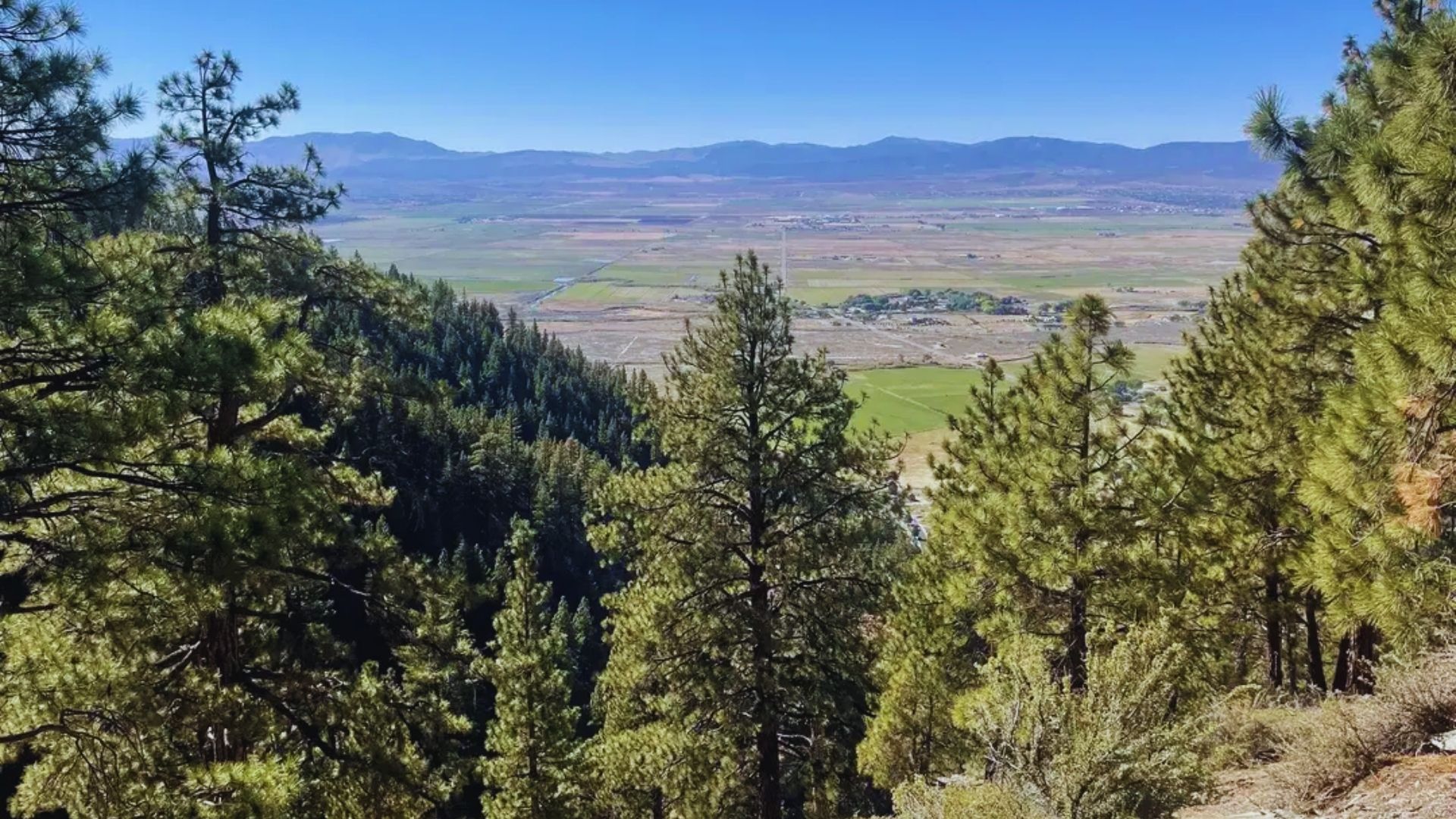 Scenic view of mountains and a lush valley from a hiking trail under a clear blue sky.