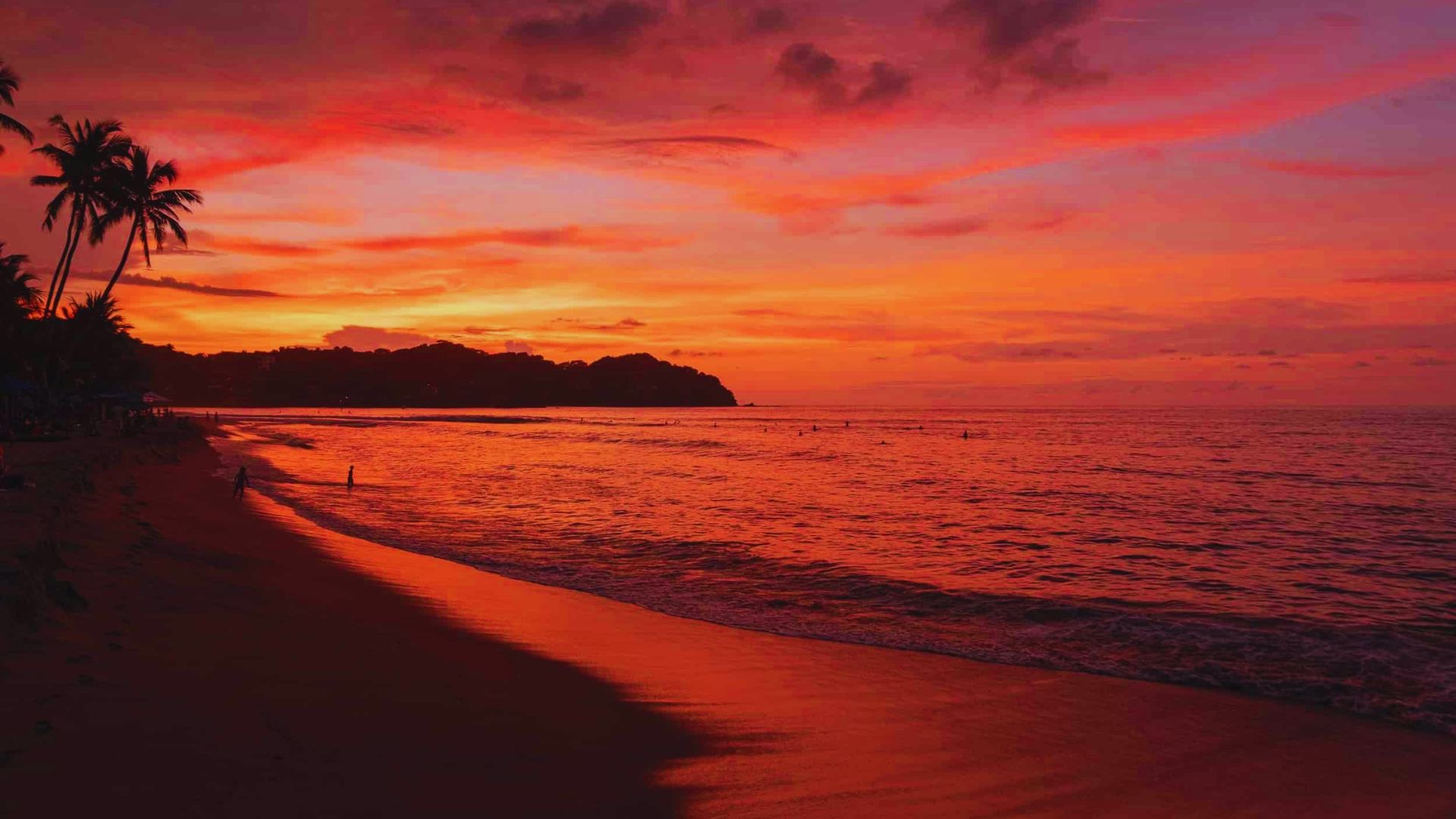 Vibrant sunset over a tropical beach with silhouetted palm trees, crashing waves, and deep orange sky, creating a tranquil and serene atmosphere.
