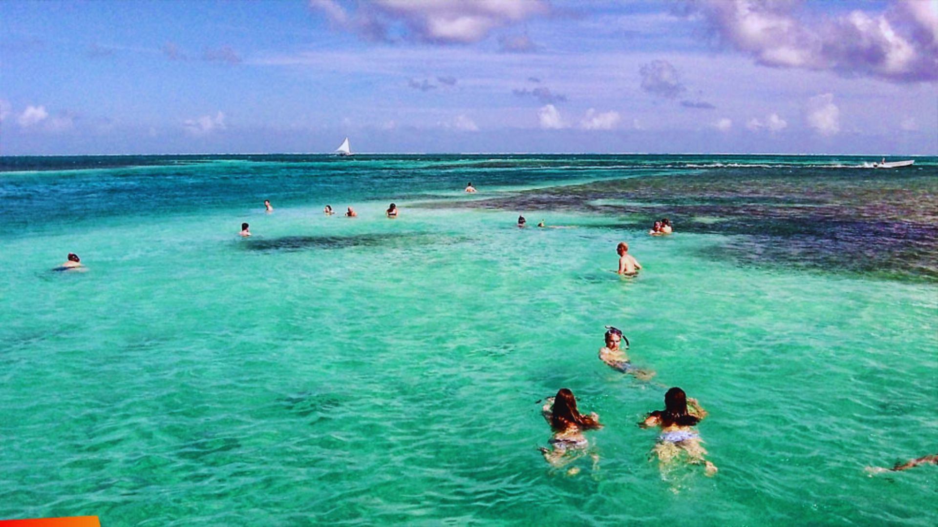 People swimming in the ocean, enjoying a sunny day near a sandy beach with gentle waves.