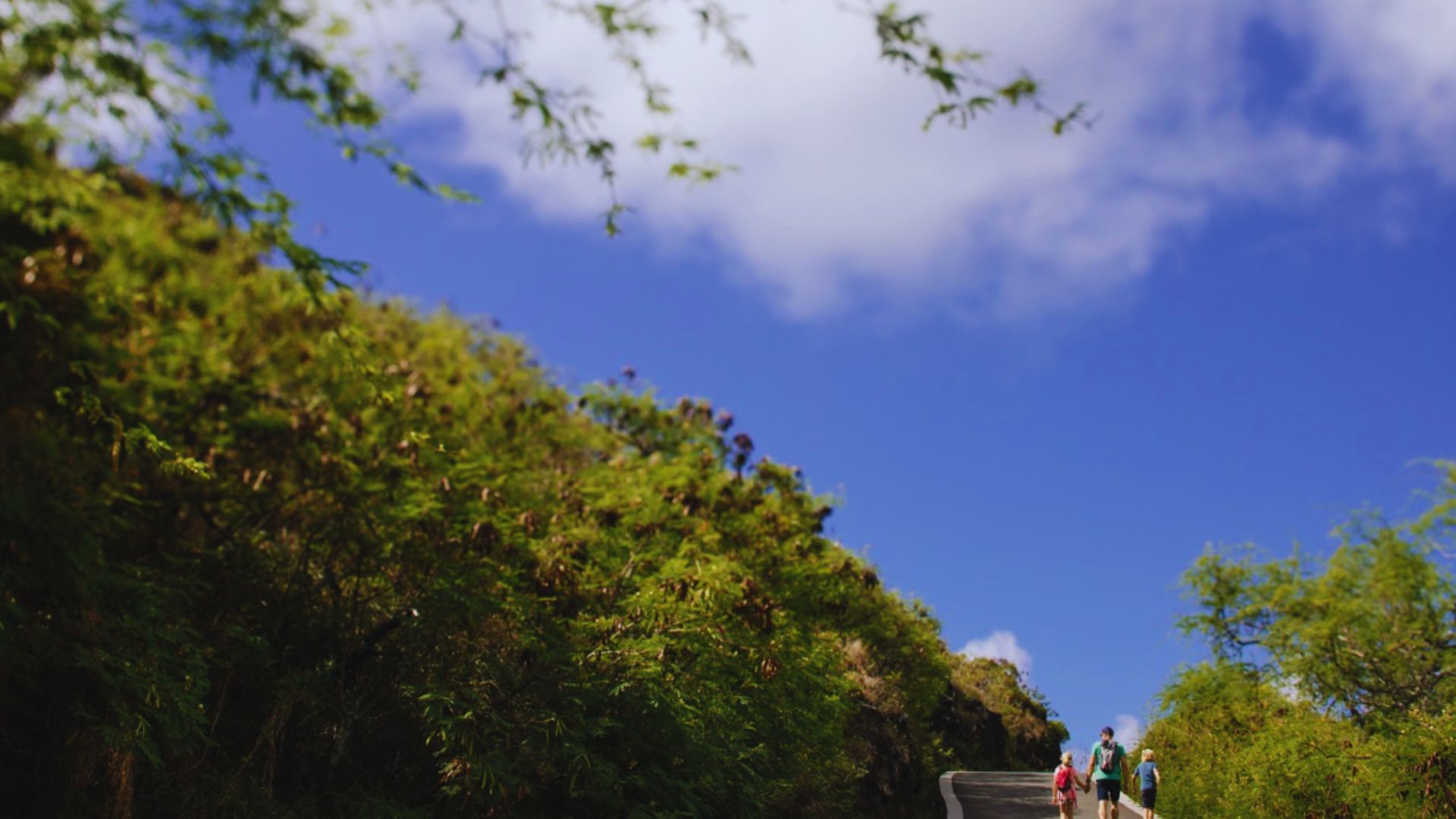 Walk Along Makapuu Beach