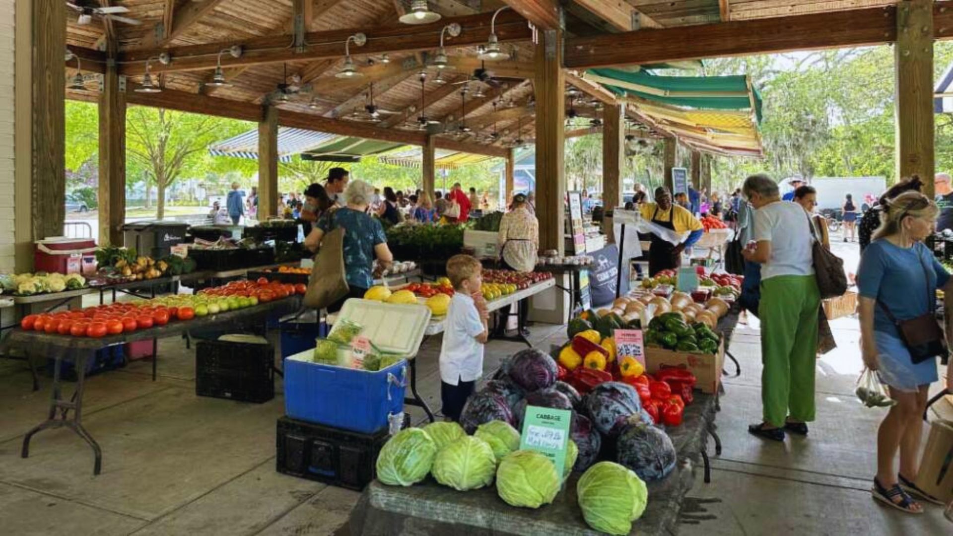 Shoppers browse fresh produce at a vibrant farmers market, surrounded by colorful fruits and vegetables.
