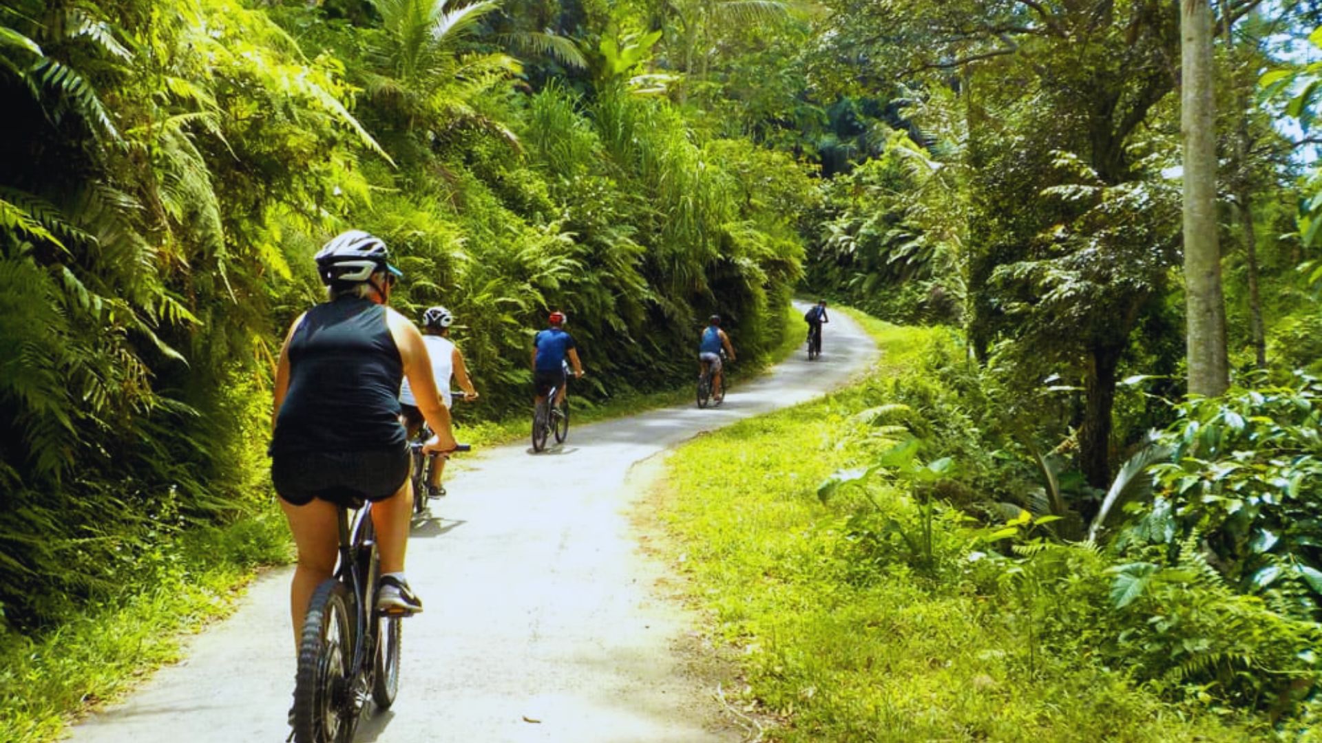 Cyclists ride along a lush, winding path surrounded by vibrant greenery and tall trees, conveying a sense of adventure and tranquility.