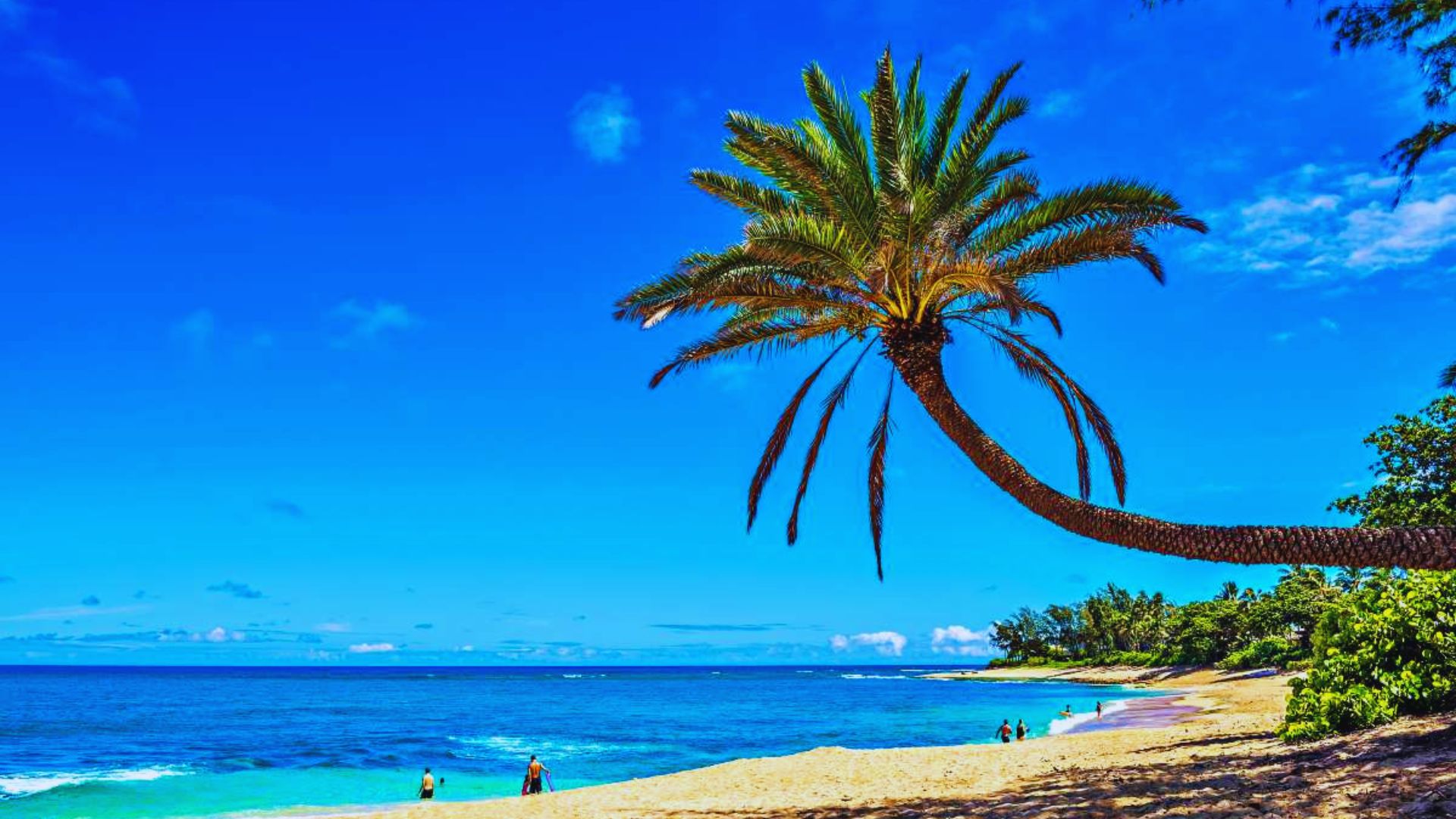 Check out Sunset Beach on the North Shore