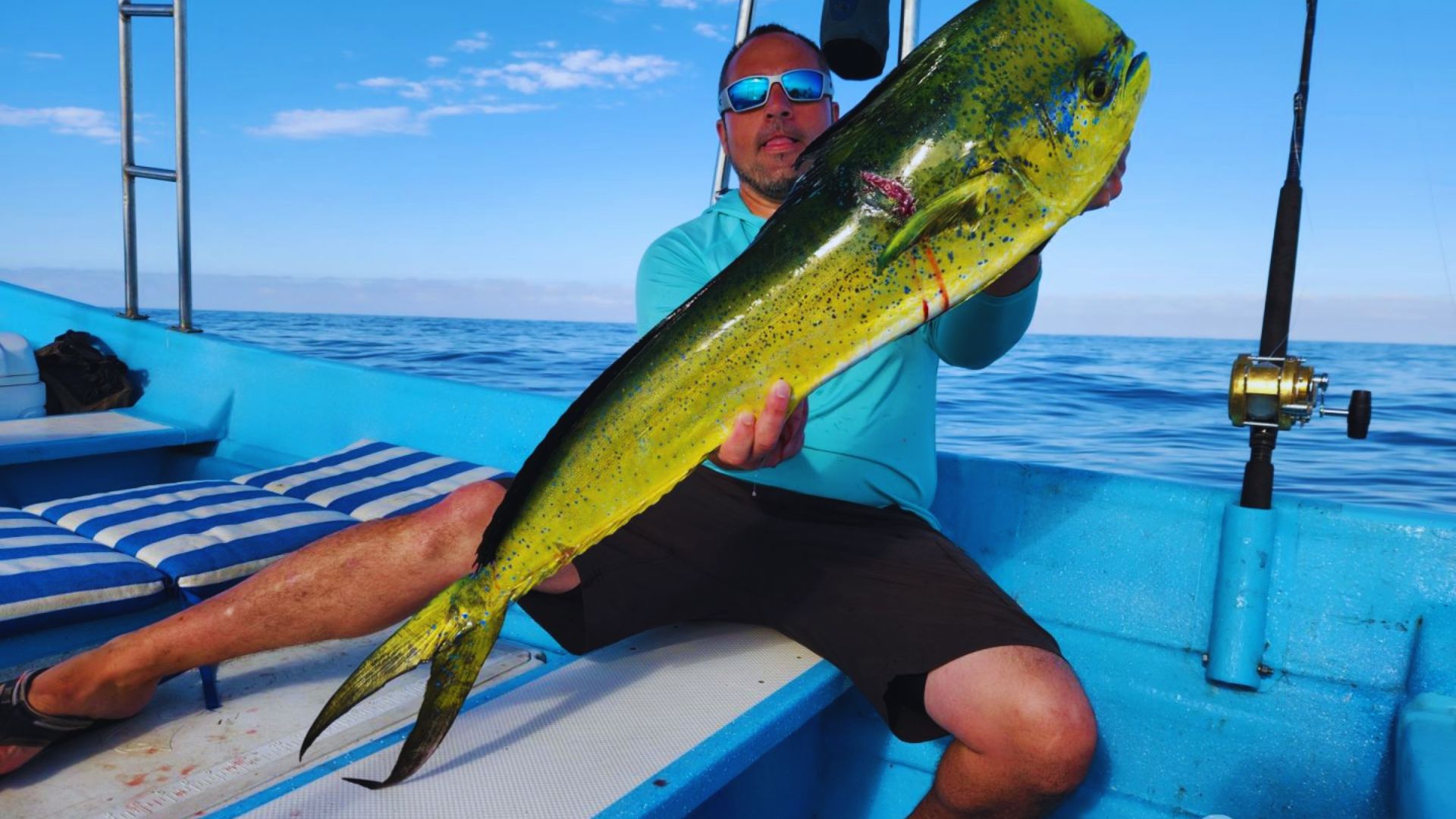 Man on a boat holds a large, colorful mahi-mahi fish under a clear blue sky. He wears sunglasses, conveying a sense of achievement and excitement.