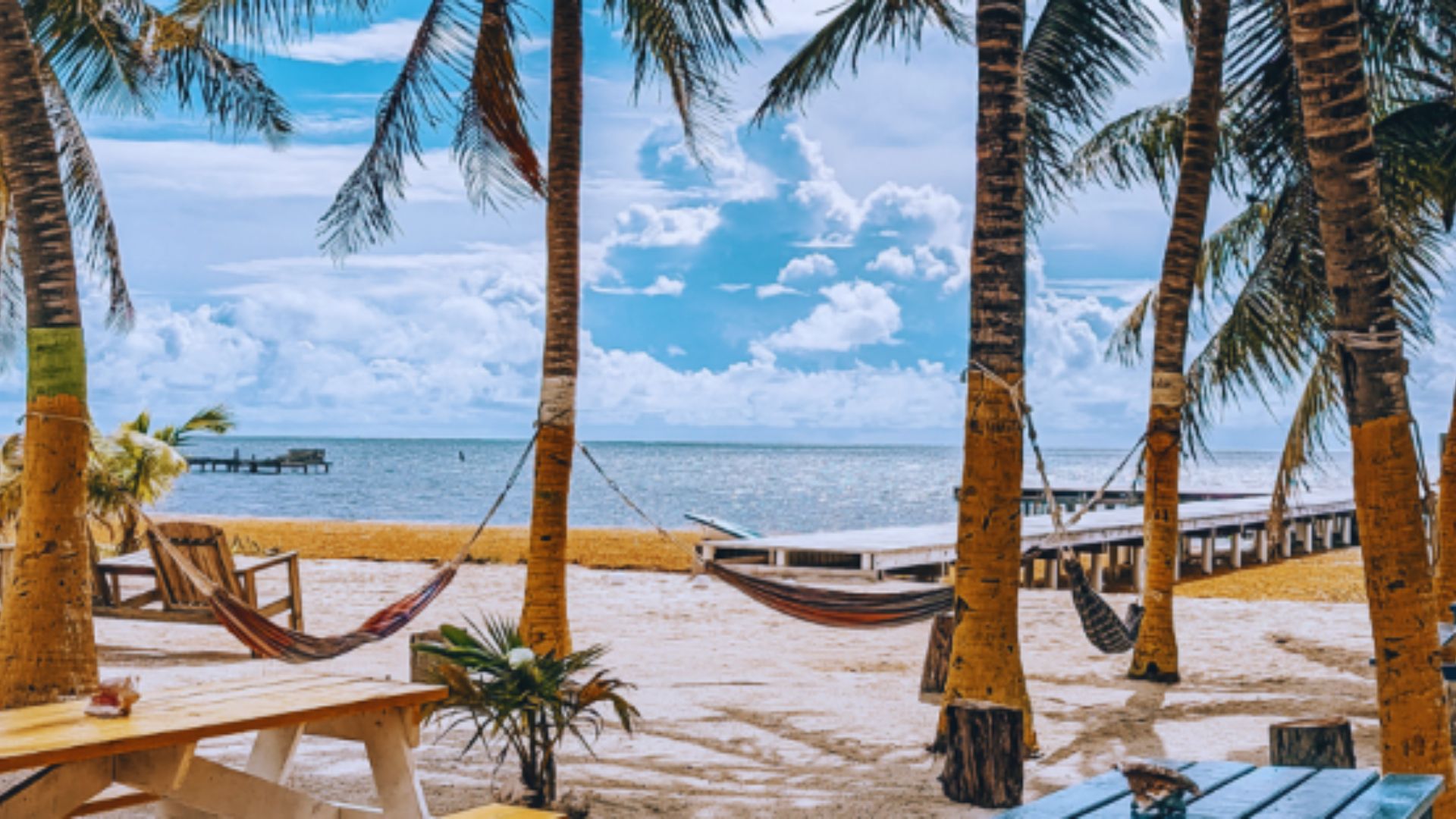 A serene beach scene featuring hammocks strung between palm trees, inviting relaxation under a clear blue sky.