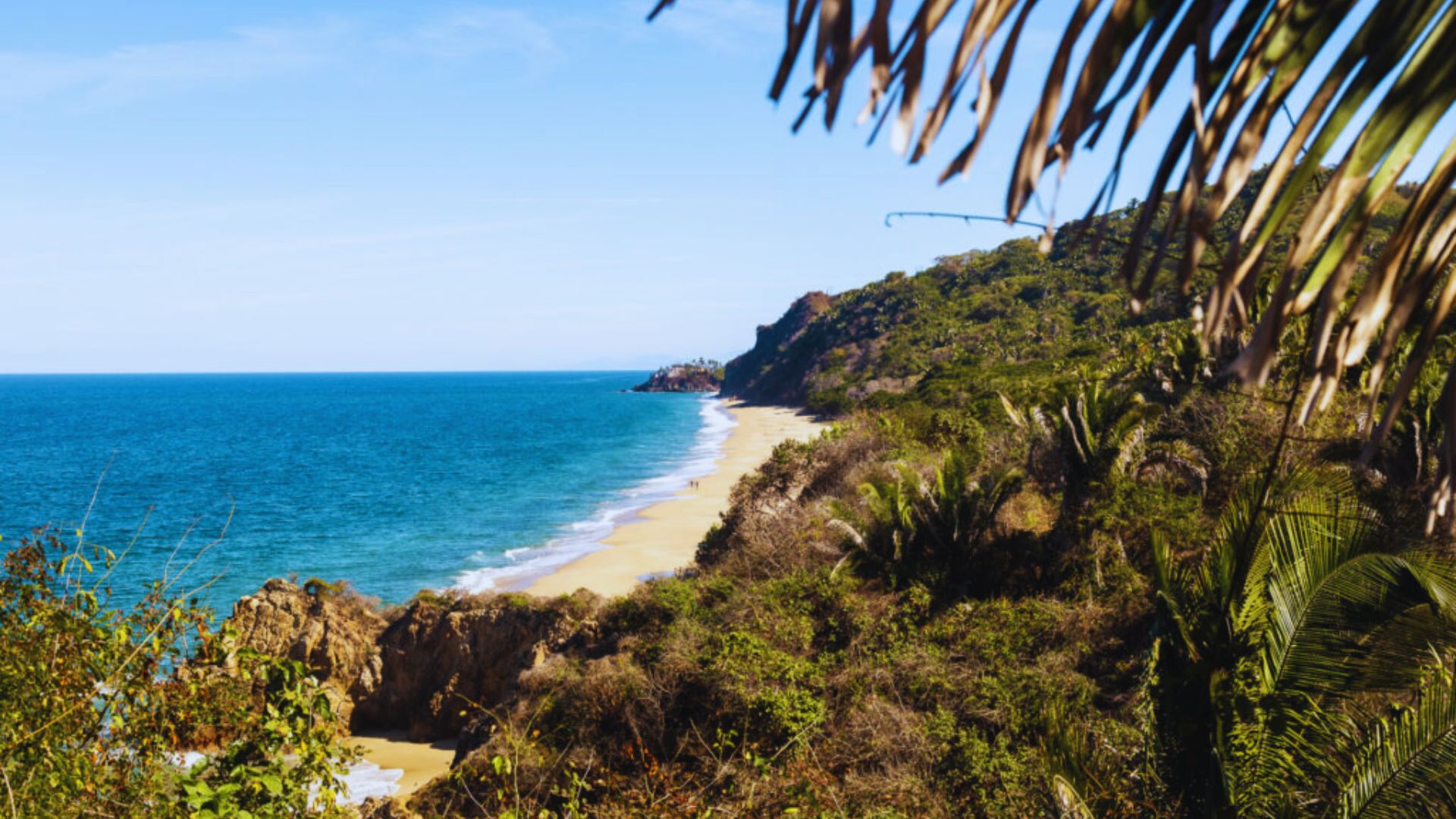 A serene beach scene with golden sands bordered by turquoise waves and lush green cliffs. Palm fronds frame the top, exuding a tropical vibe.