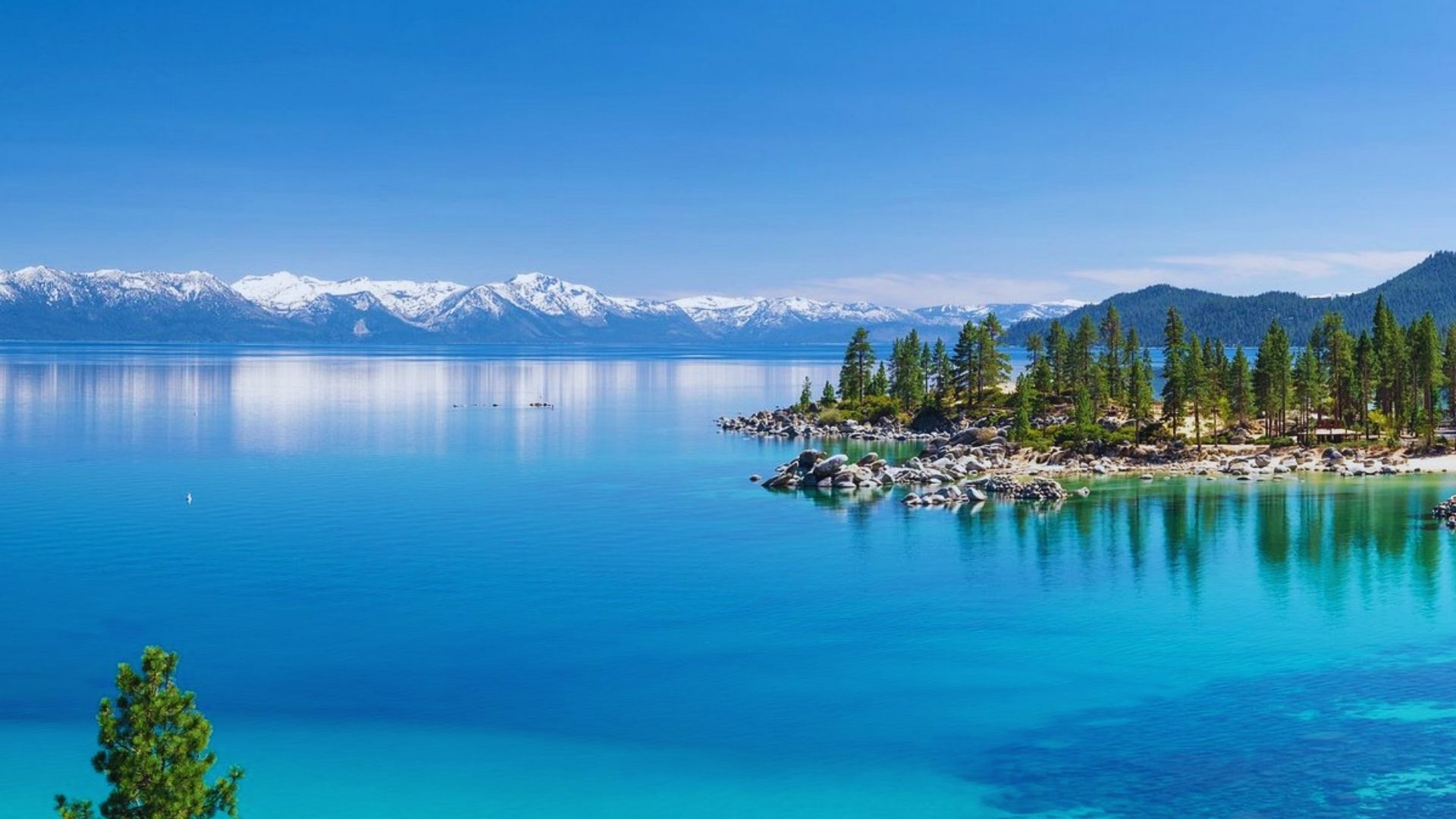 Scenic view of Lake Tahoe, California, showcasing its clear blue waters and surrounding mountains.
