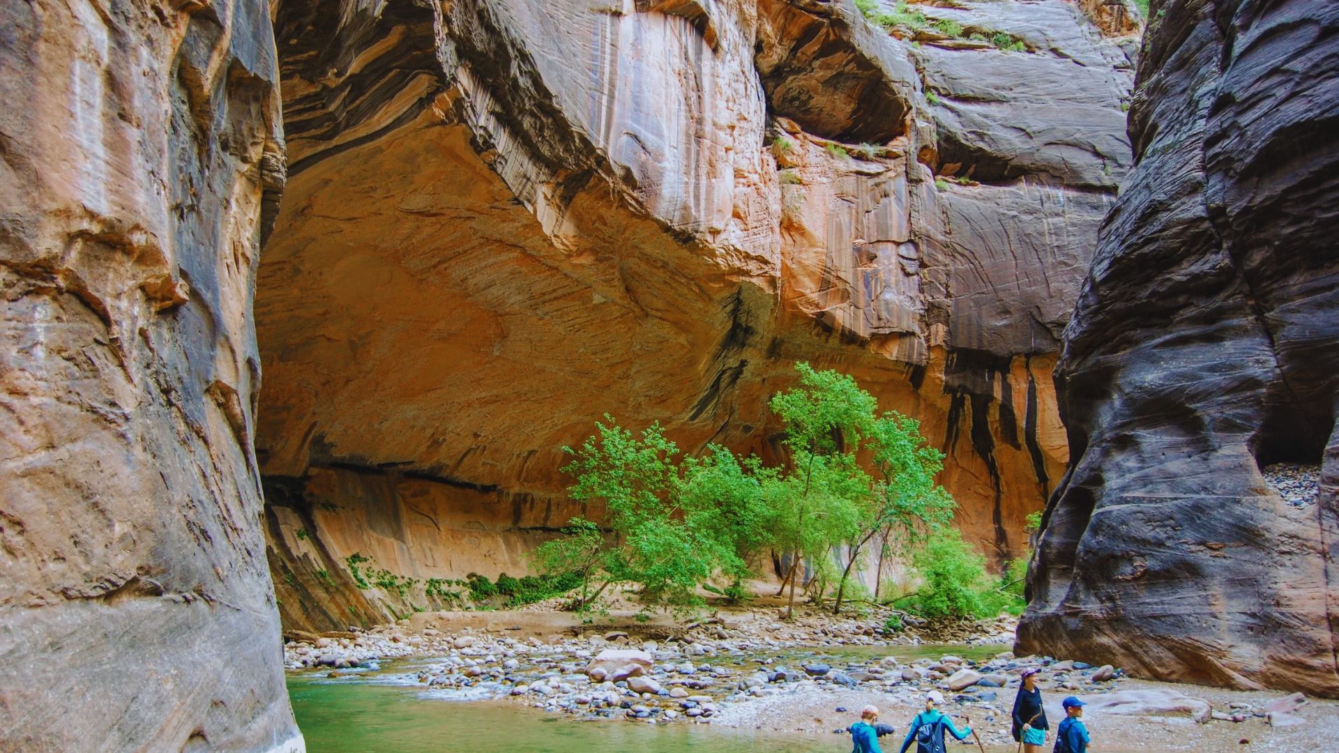 Use Waterproof Protection for Items