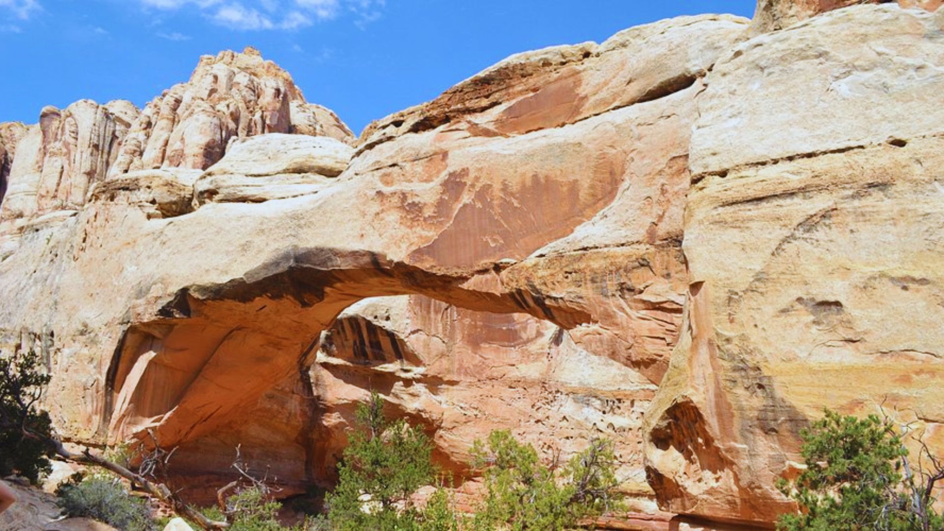 Hickman Bridge Trail Overview