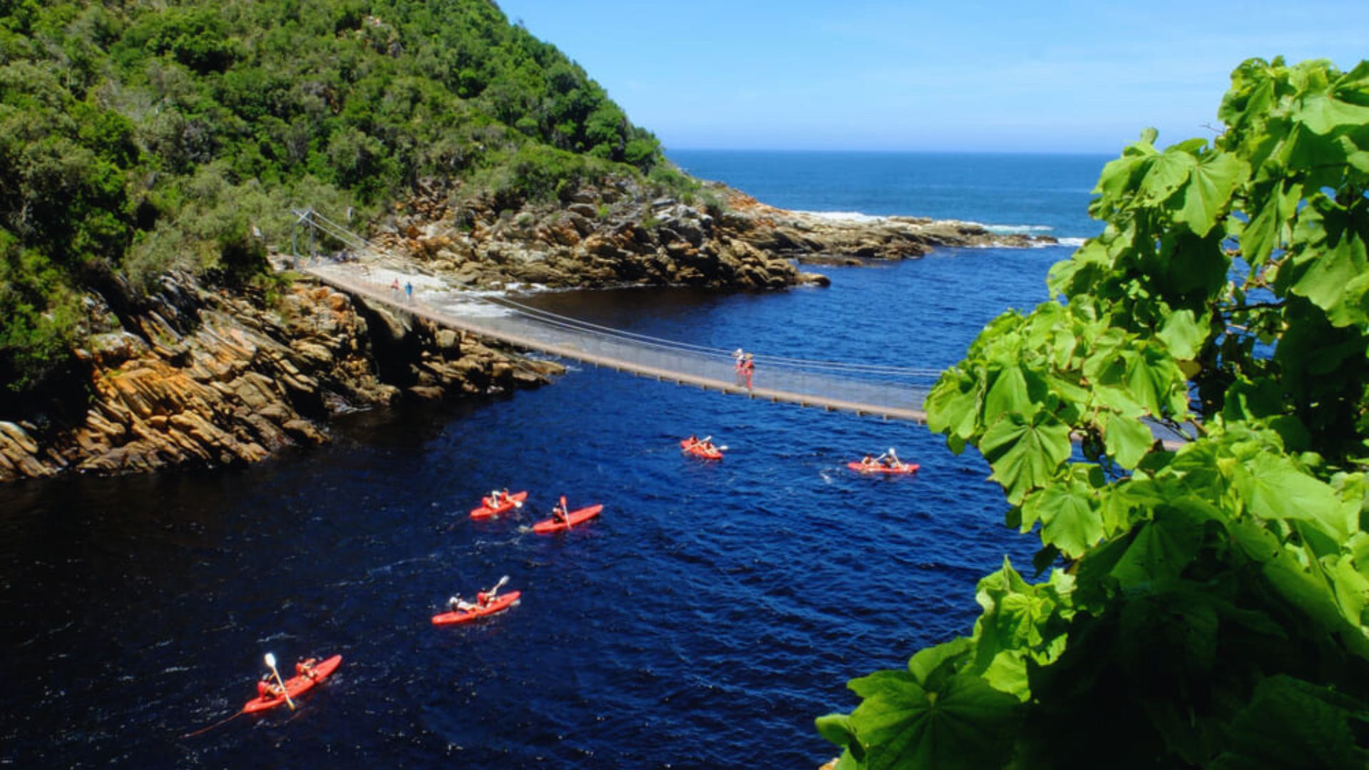 A person kayaking on the calm waters of the Cape Peninsula, surrounded by scenic cliffs and lush greenery.