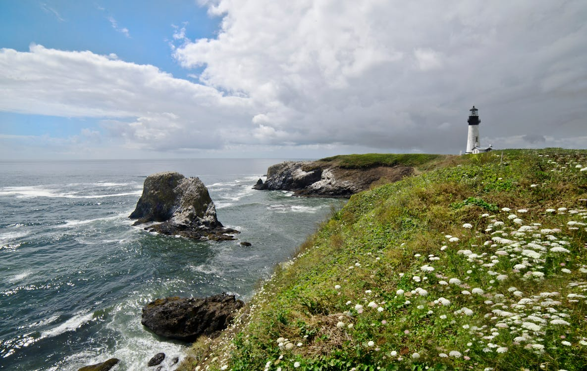 Rocky coastline with a lighthouse on a grassy cliff, surrounded by white wildflowers. The ocean is turbulent under a partly cloudy sky.