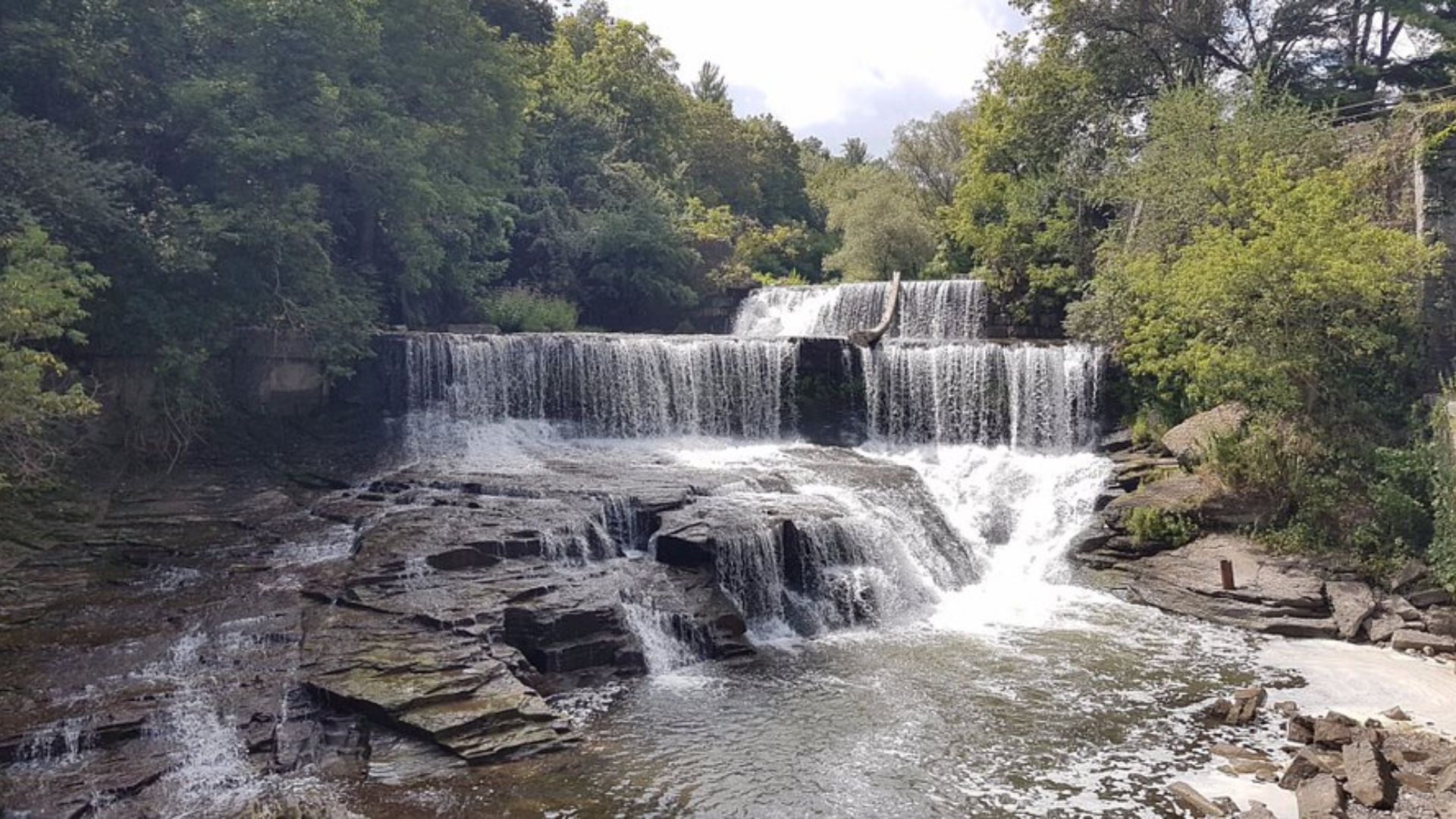 A serene waterfall cascades through a lush forest, surrounded by tall trees and vibrant greenery.