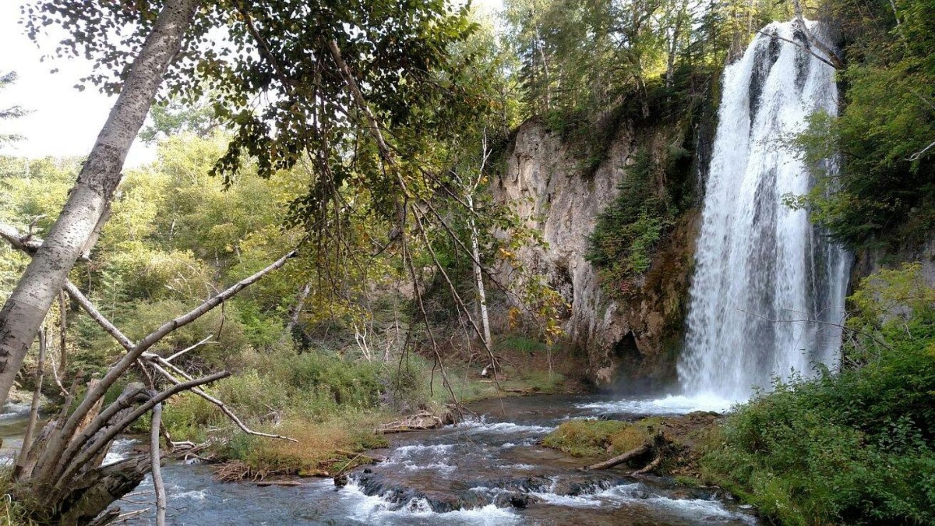 A serene waterfall cascades down surrounded by lush trees and rugged rocks.