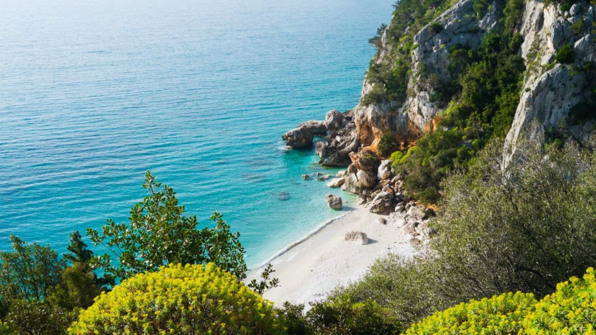 A serene cove with turquoise water and a sandy beach, bordered by lush green shrubs and rocky cliffs under a clear blue sky, exuding tranquility.