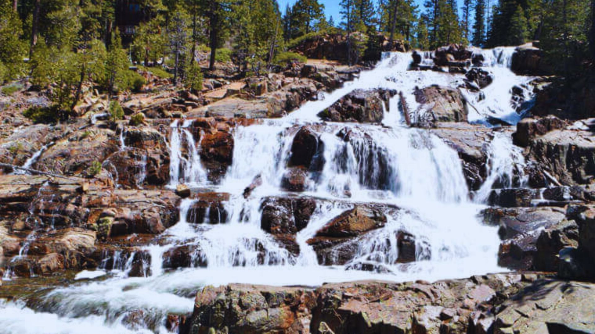 A serene waterfall cascading through lush green woods, surrounded by trees and natural foliage.