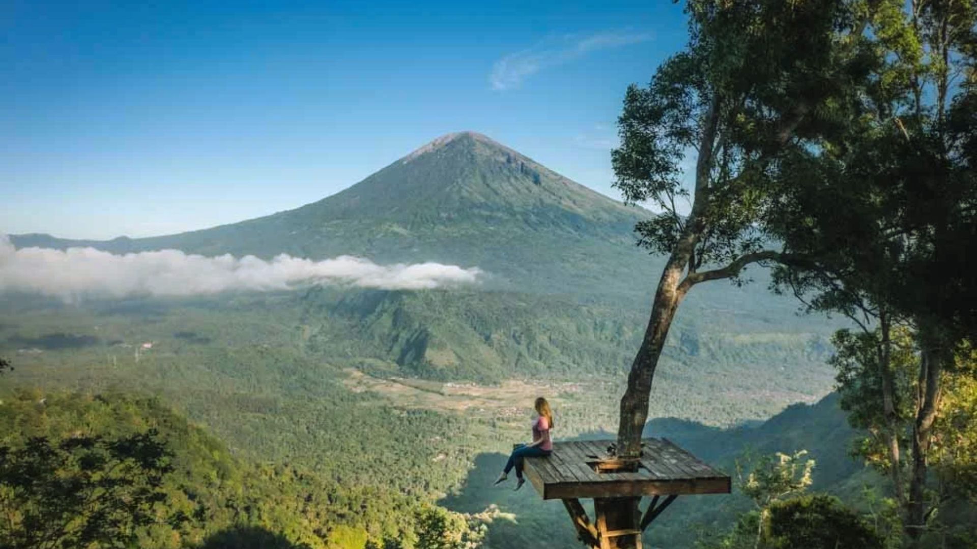 A person sits on a wooden platform in a tree, overlooking a lush green valley with a distant, majestic mountain under a clear blue sky.