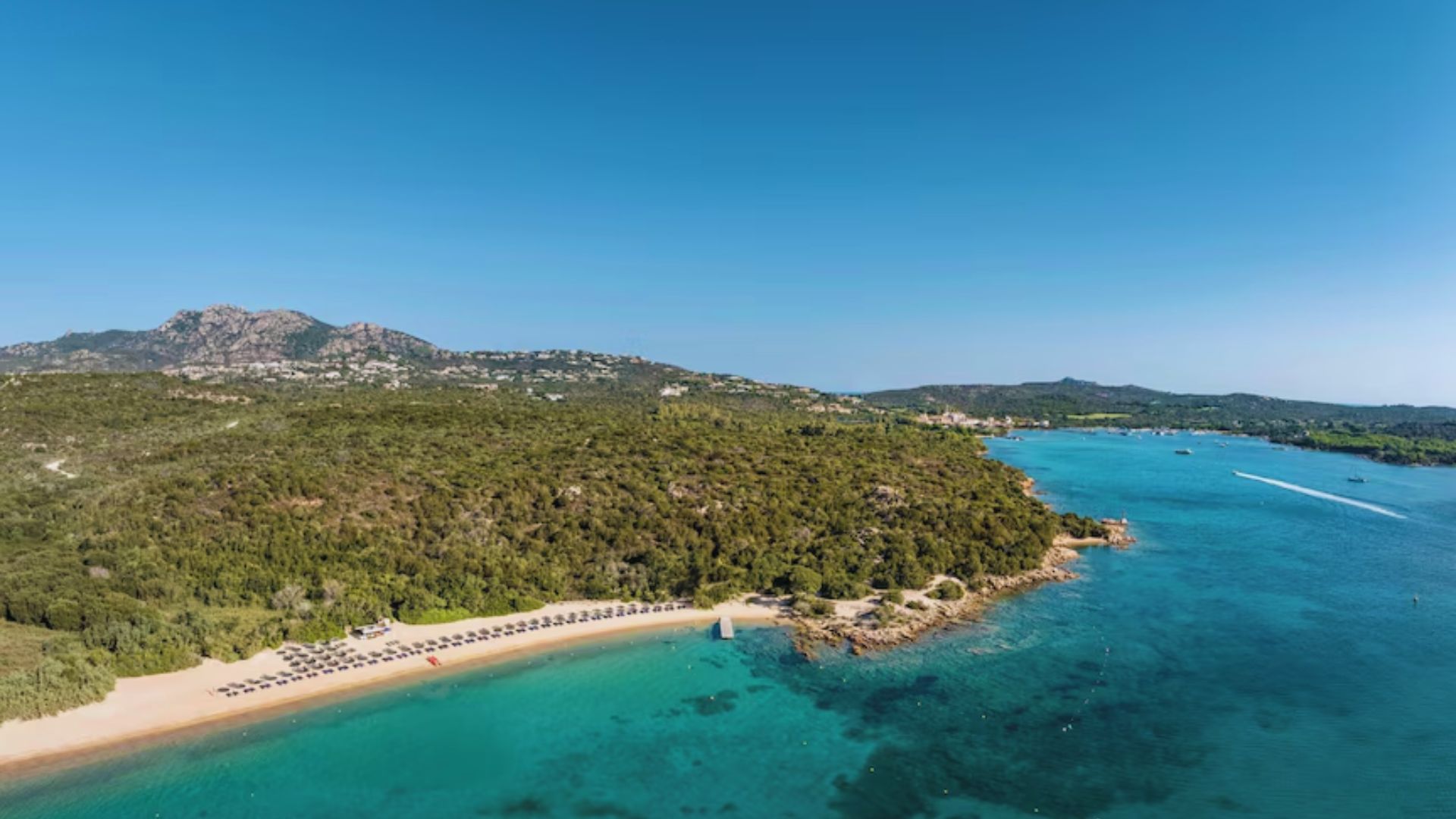 Aerial view of a serene beach with rows of lounge chairs under umbrellas. Clear turquoise water meets a lush, green hillside under a bright blue sky.