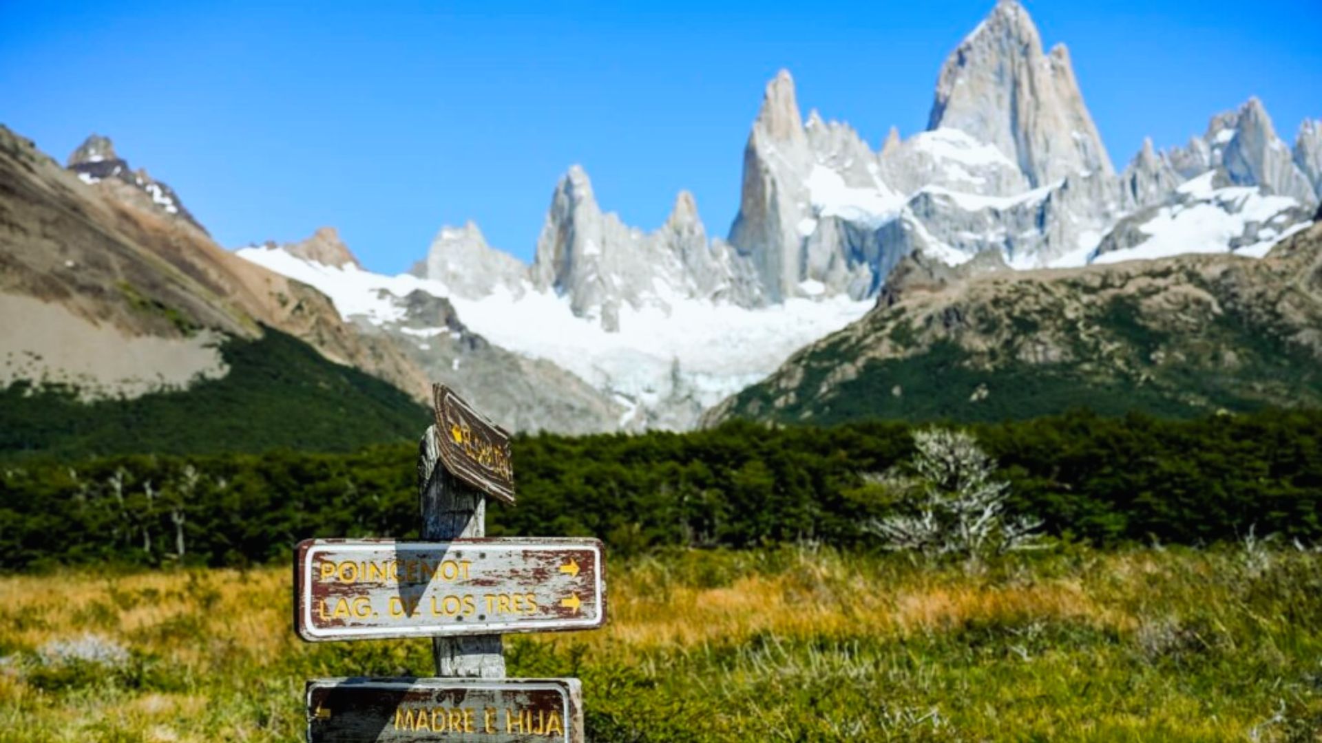 A directional sign indicating the way to the mountains in Patagonia, surrounded by lush greenery.